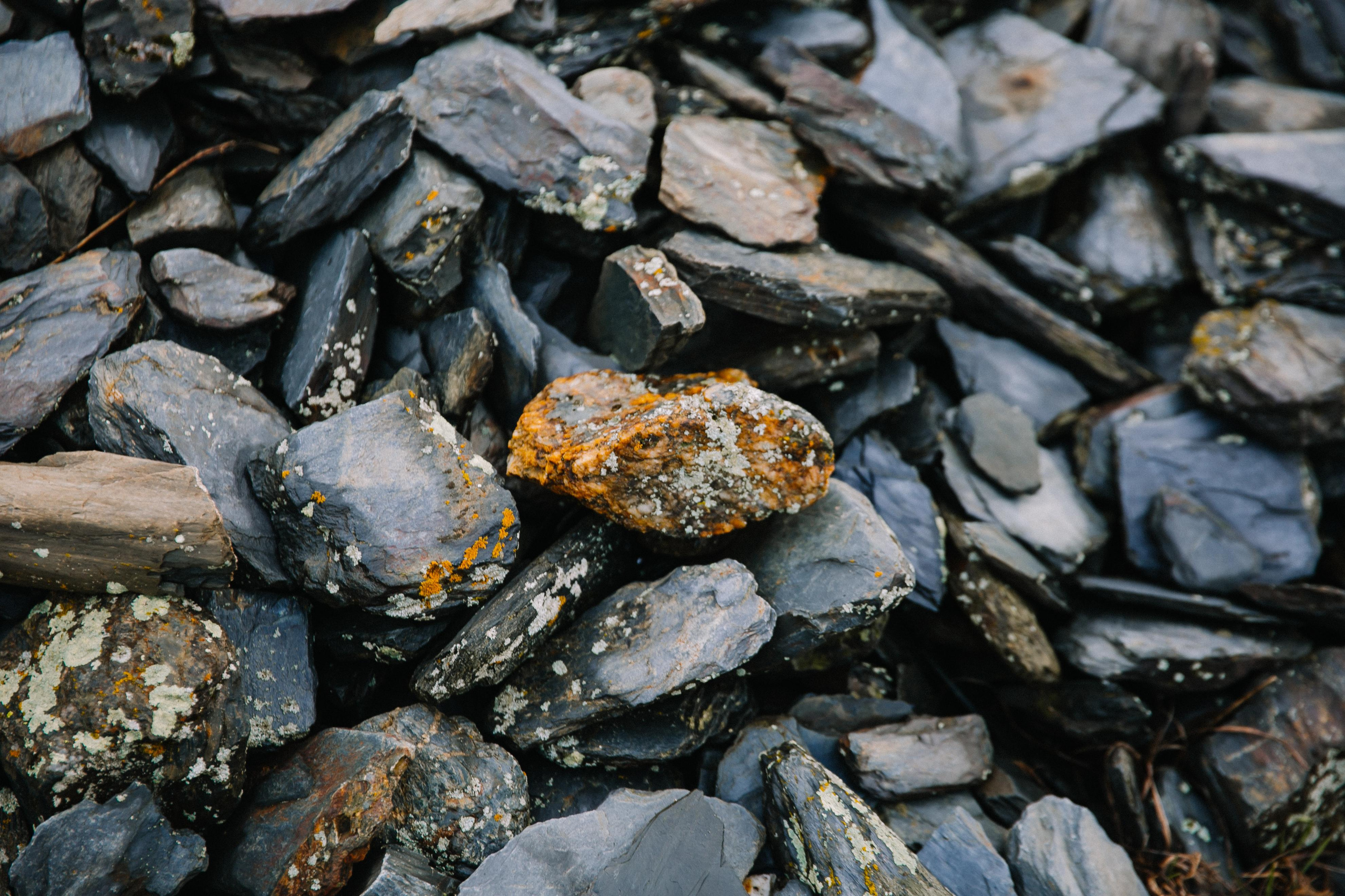 Dashi. Mountain wind. Ваш фотограф Любовь Чистякова