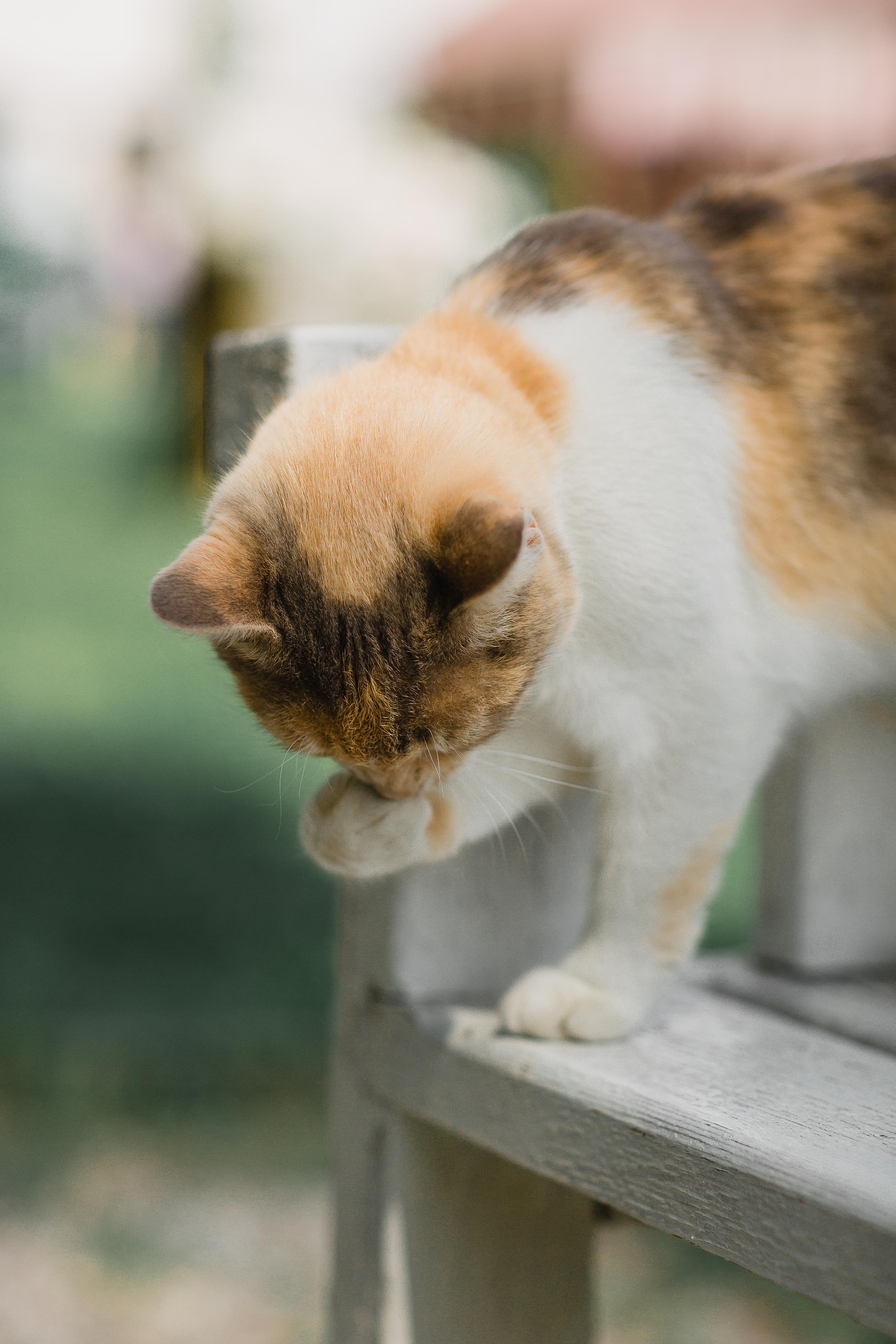 Wedding day 10.06.2023. Ваш фотограф Любовь Чистякова