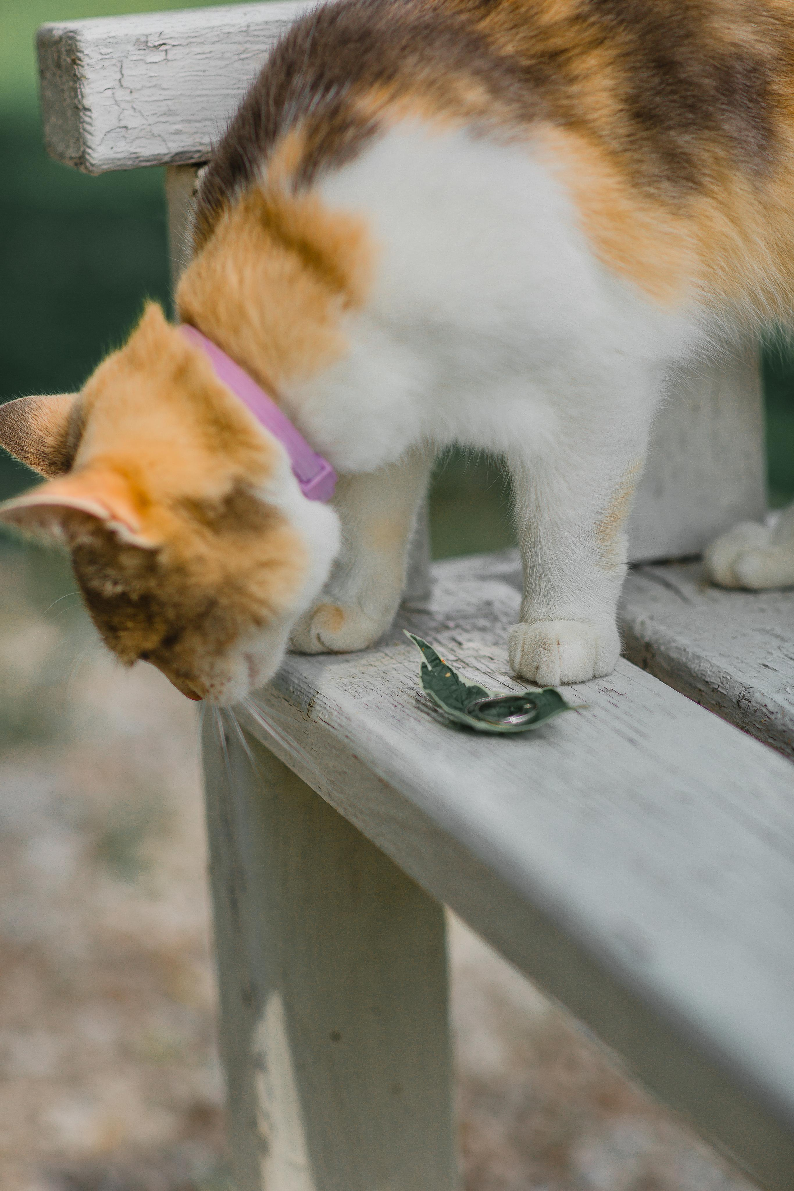 Wedding day 10.06.2023. Ваш фотограф Любовь Чистякова