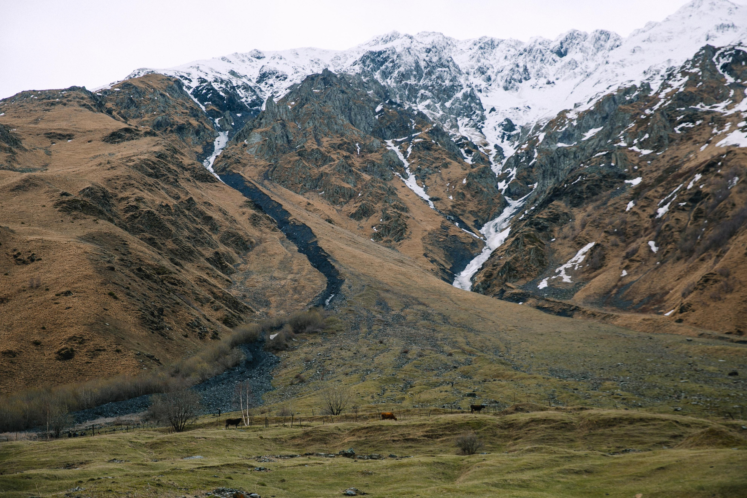 Dashi. Mountain wind. Ваш фотограф Любовь Чистякова