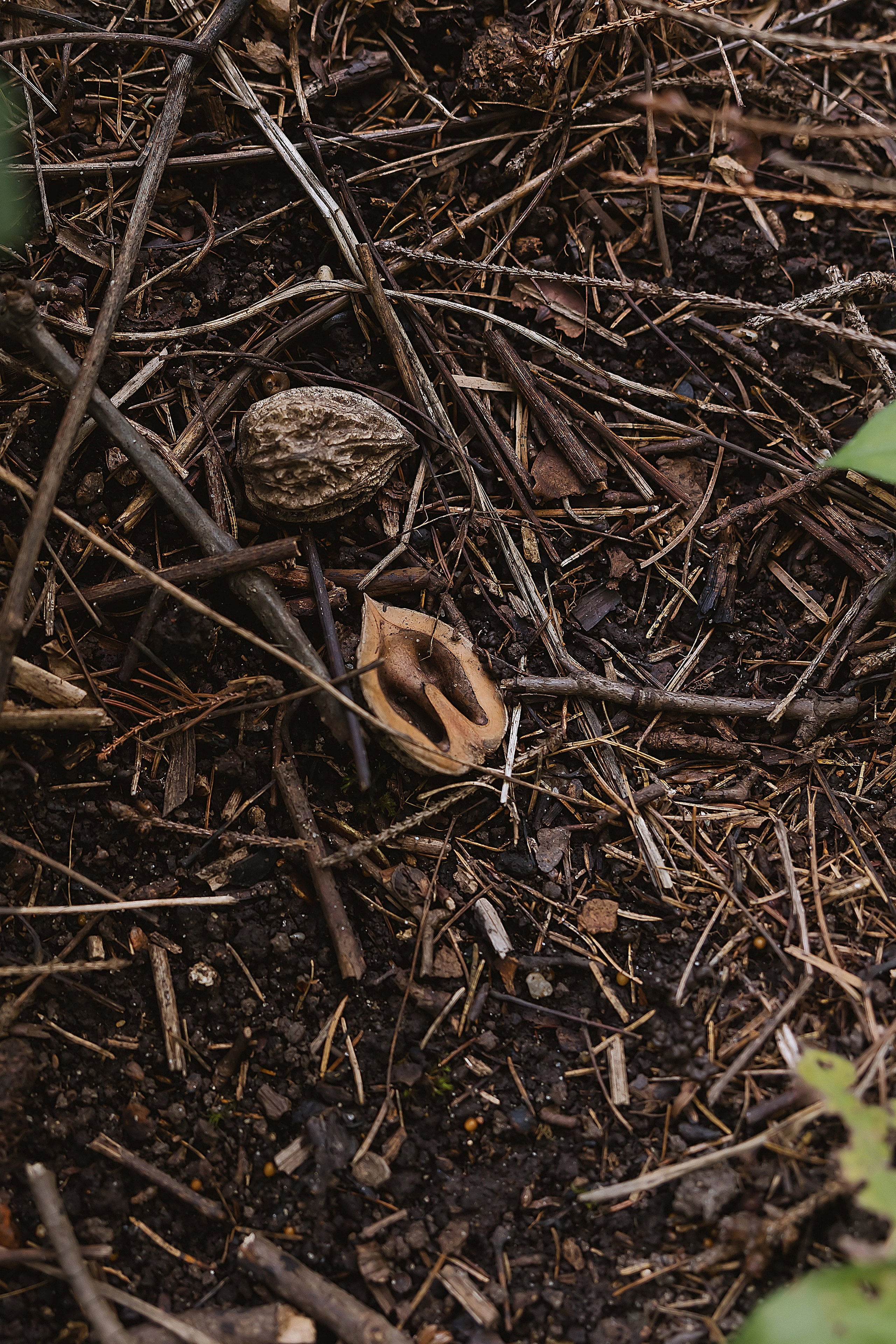 Николай и Вероника. Свадебный фотограф | Москва | Демидова Мария