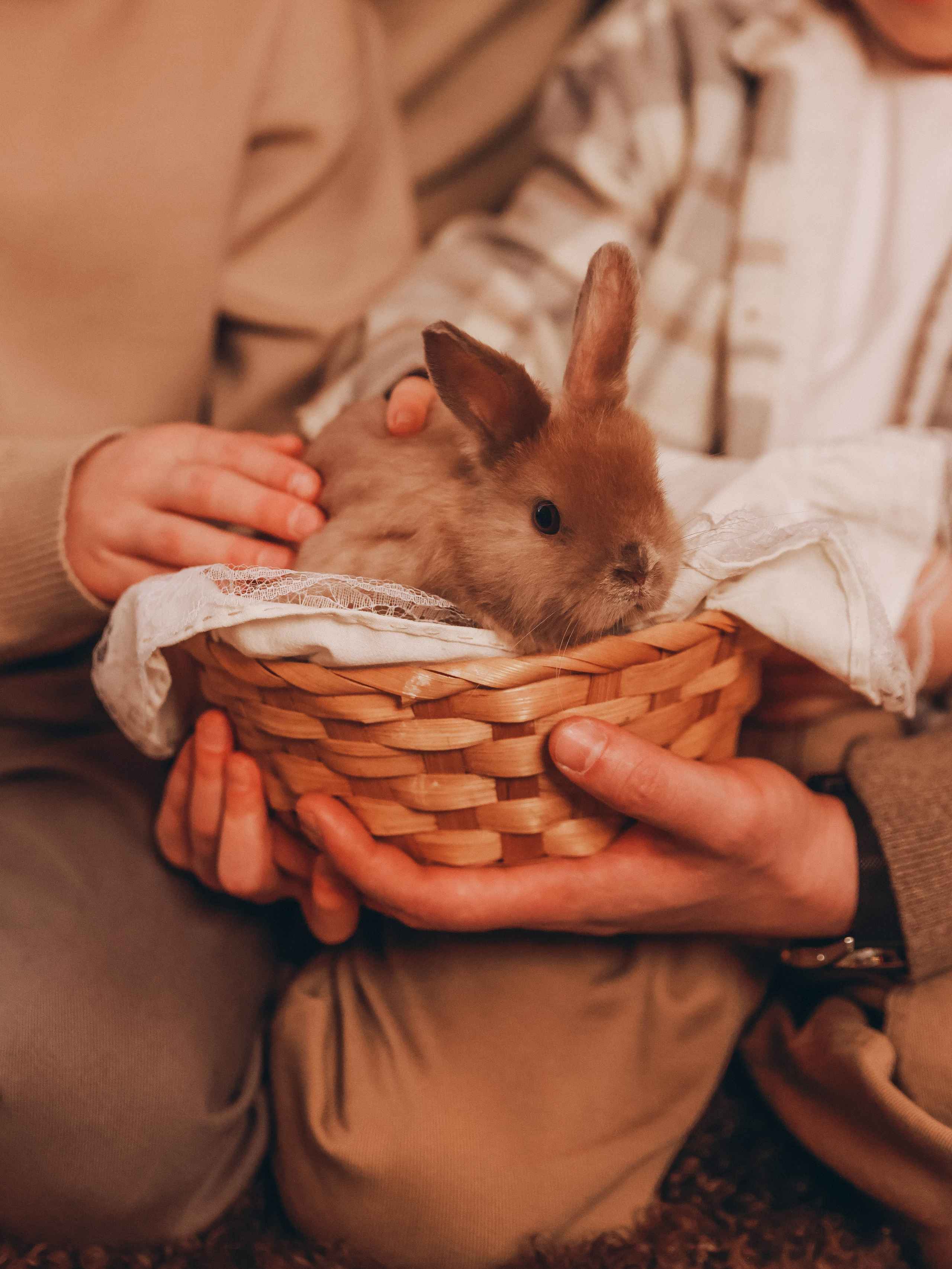 Вечерная семейная новогодняя. Мультифотограф Динара Ахмедзянова