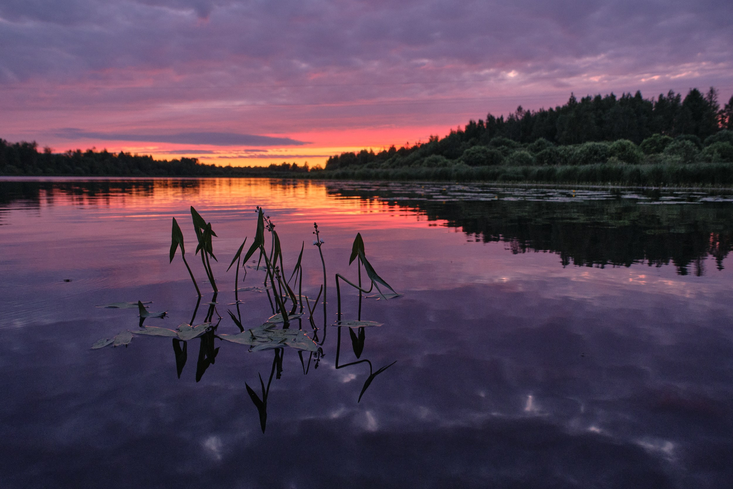 Северные дневники. Алиса Северная. Визуальные исследования. Пейзажная и документальная фотография
