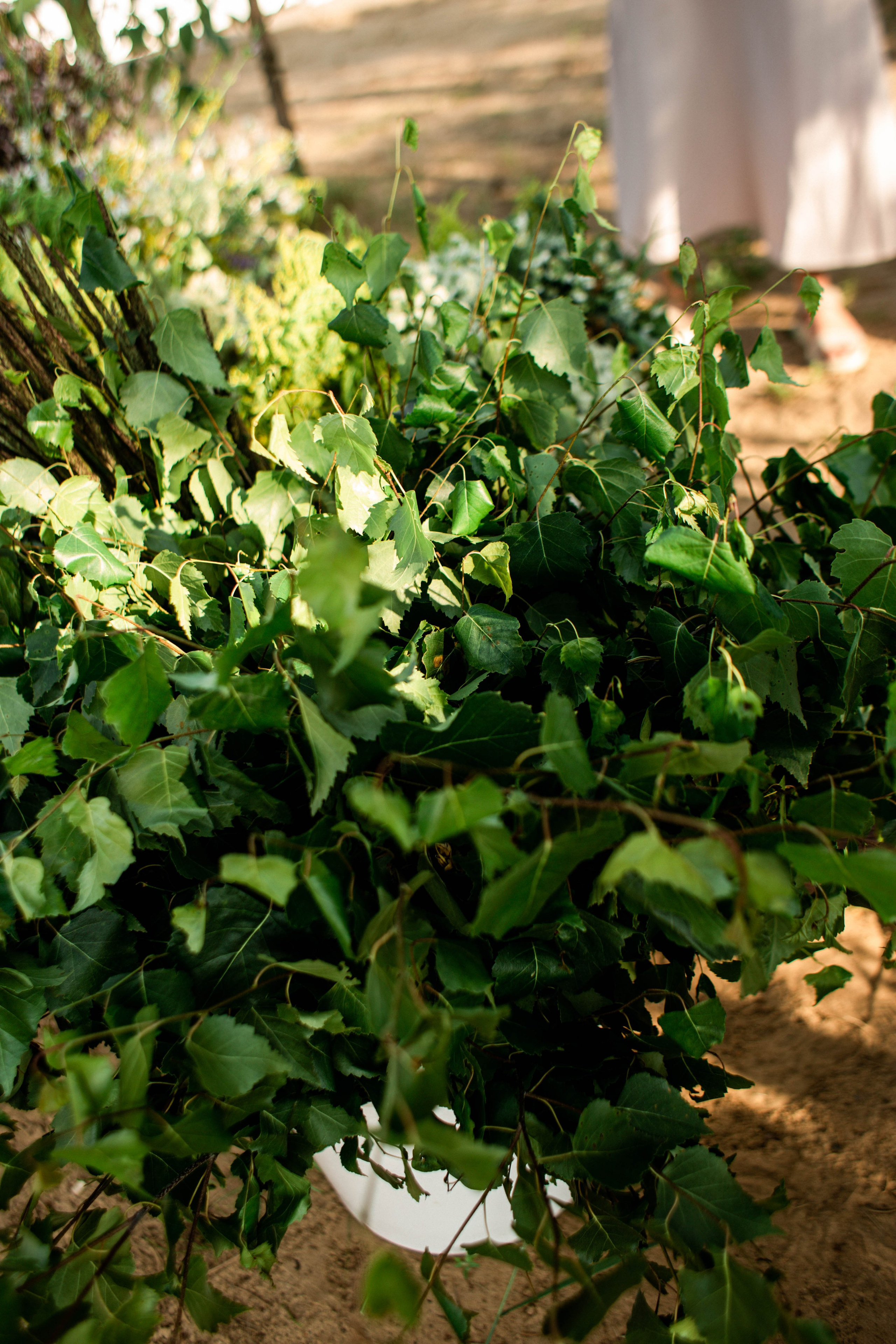 Ивана Купала Гребной канал. Фотограф в Нижнем Новгороде