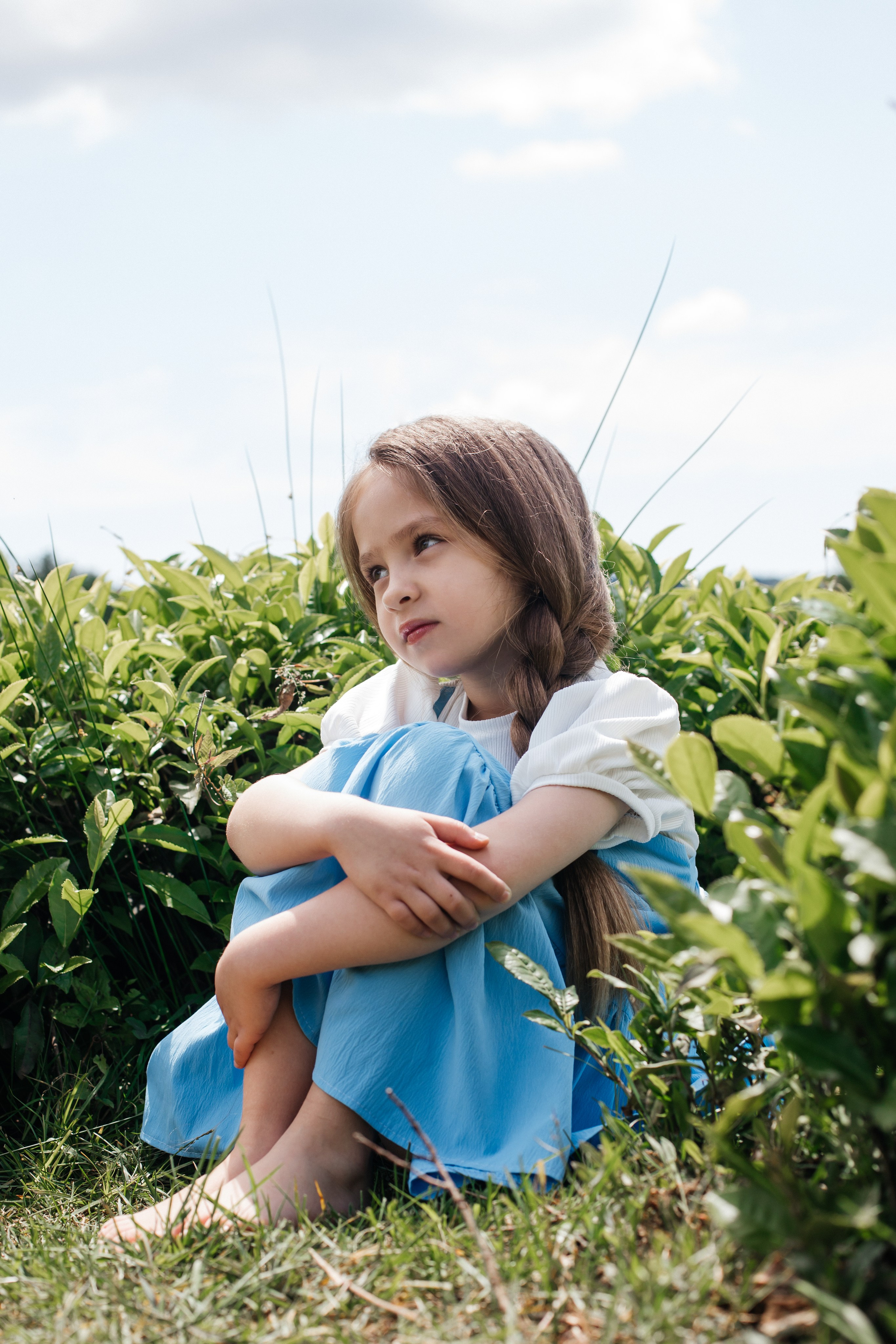 Tea plantation. Efimova Model Agency