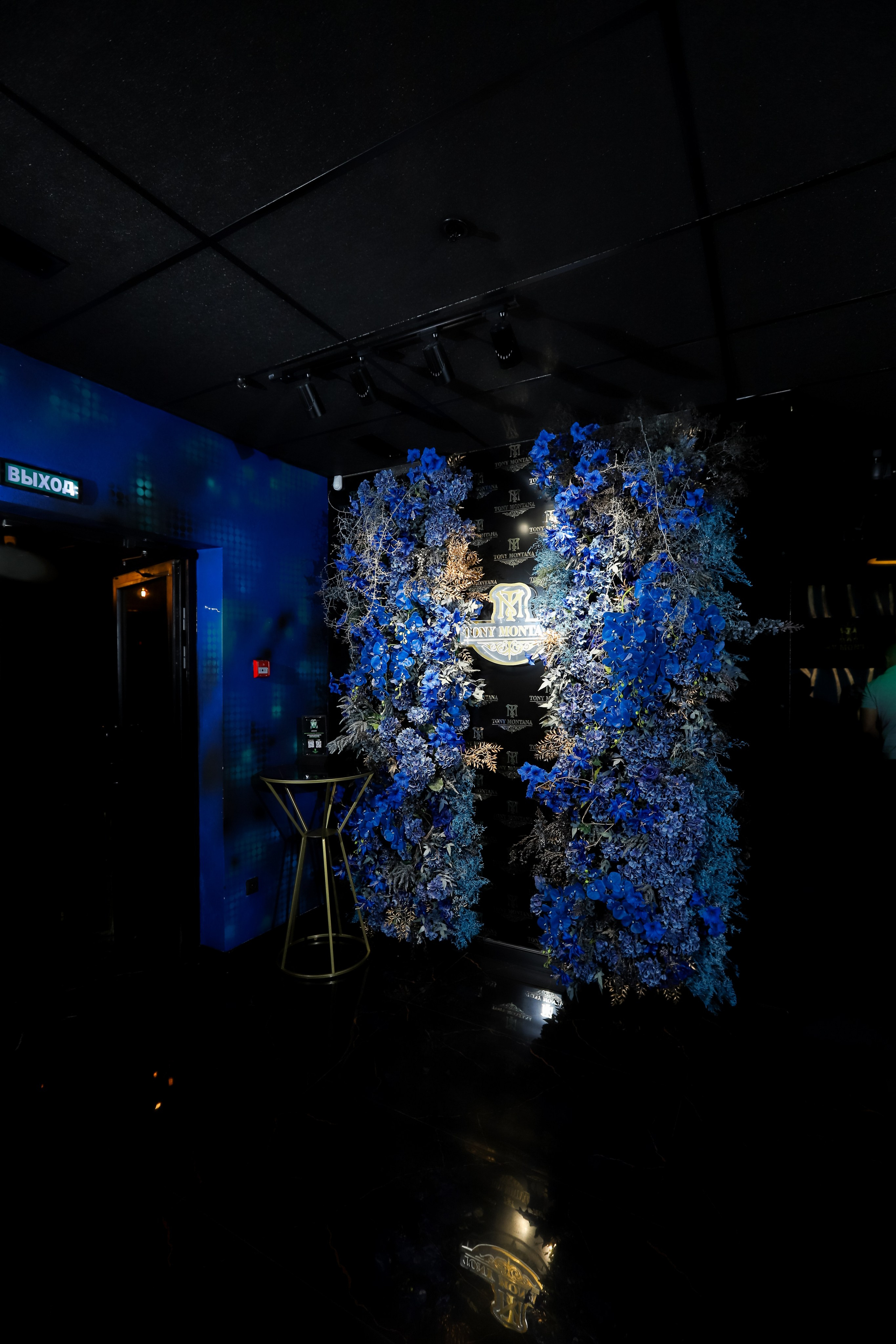 Tony Montana. Фотограф в Краснодаре Анна Светикова