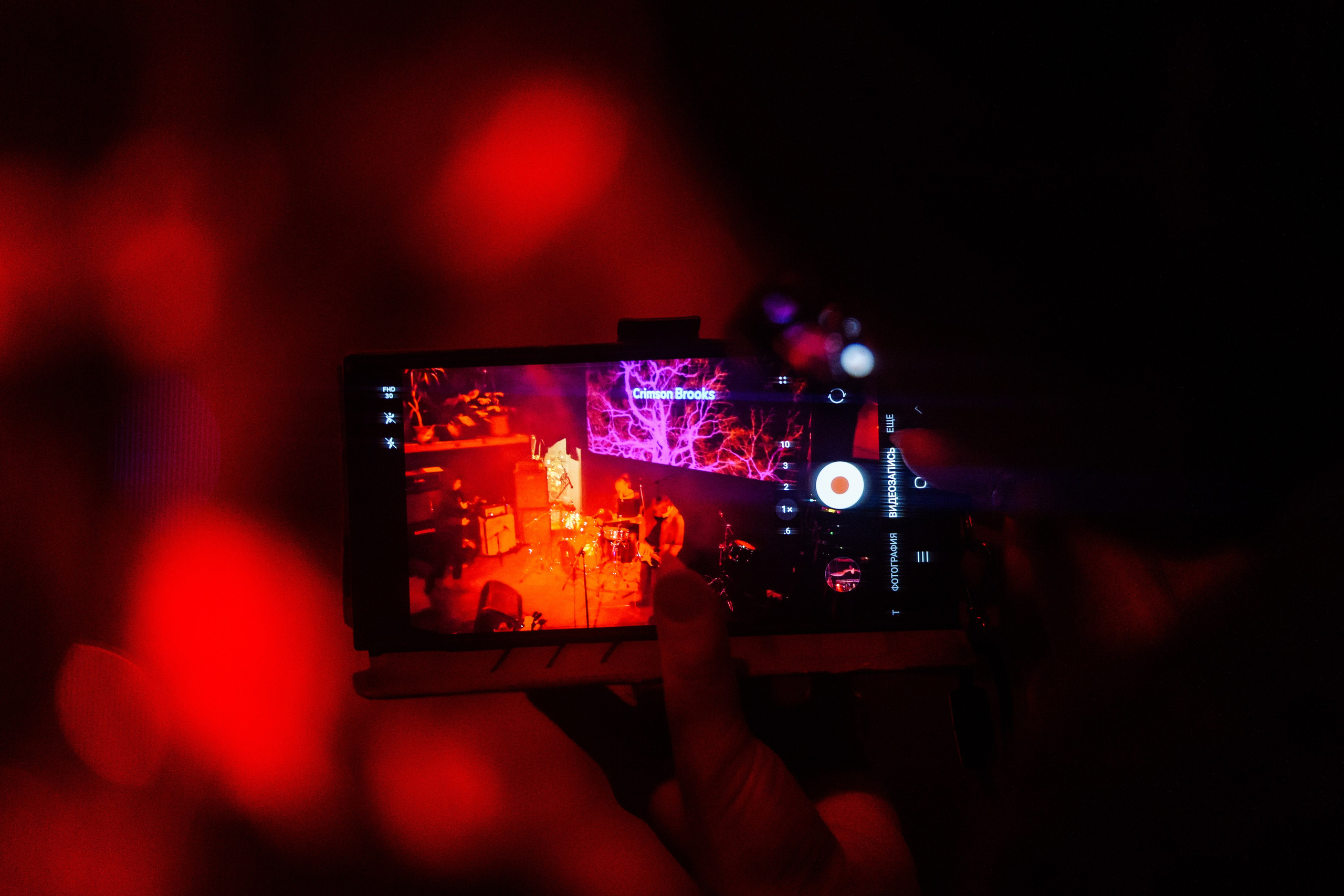 Inside the Rain|Ласточка. Концертный и репортажный фотограф в Санкт-Петербурге Слава Пахомов