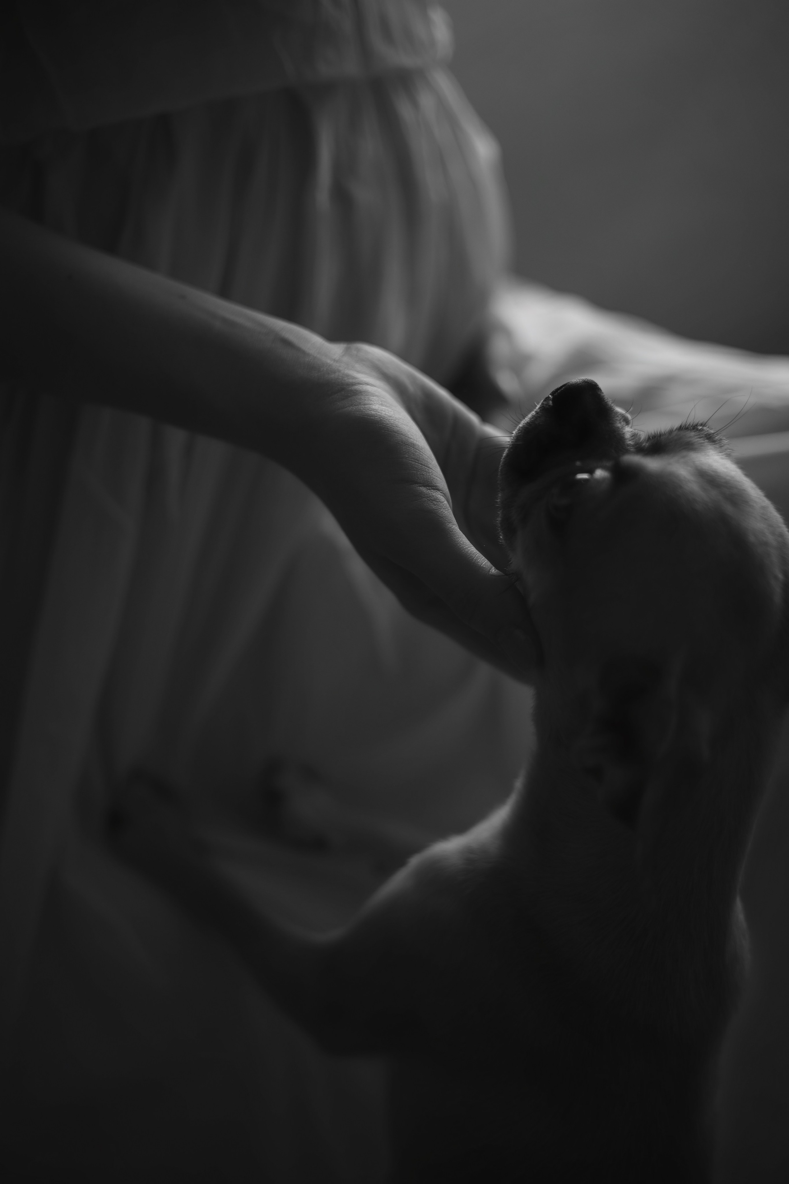 В ожидании чуда. Семейный, детский, женский фотограф в Новосибирске Оля Борисова