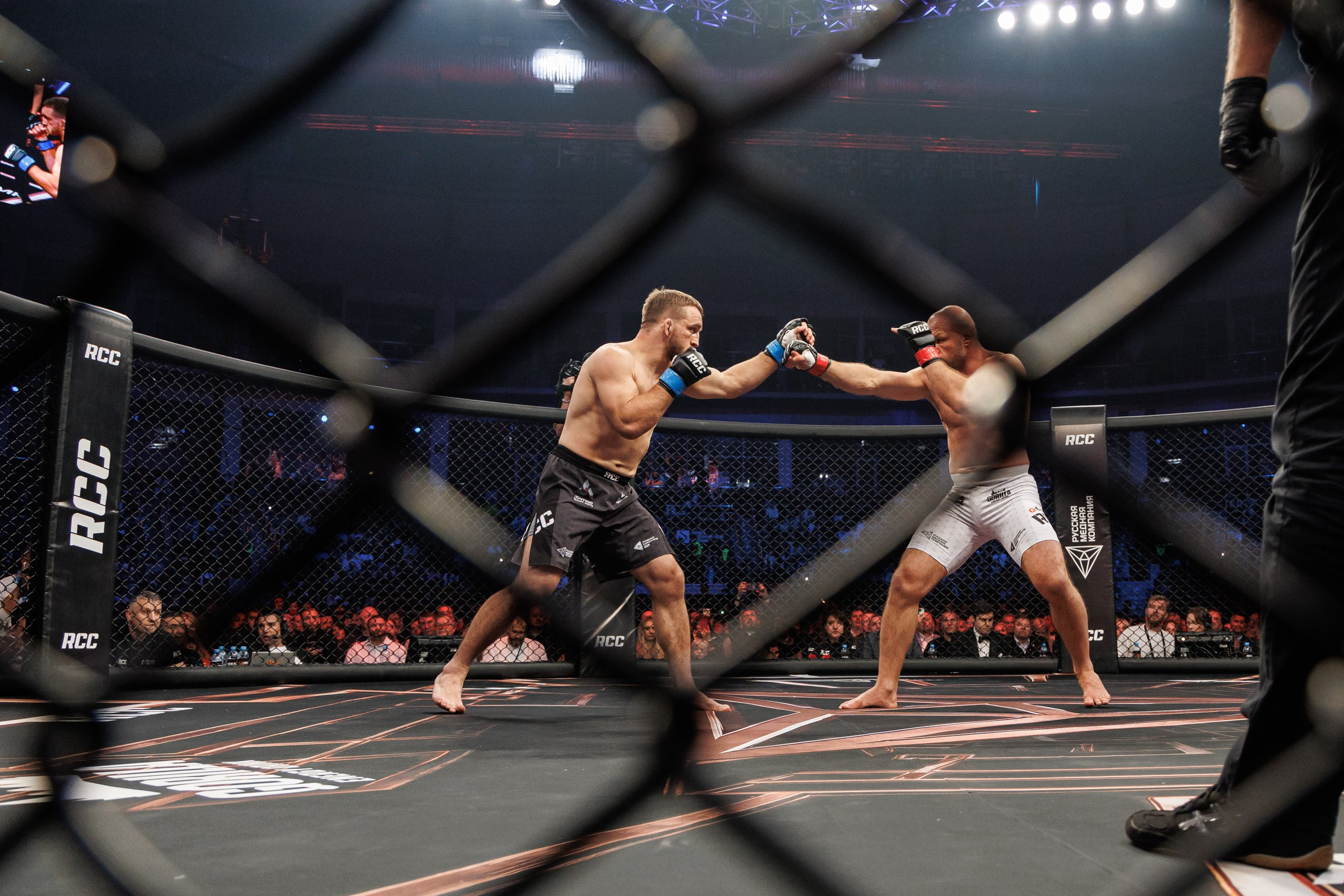 Кубок RCC MMA | Белаз-Шторм. 2025