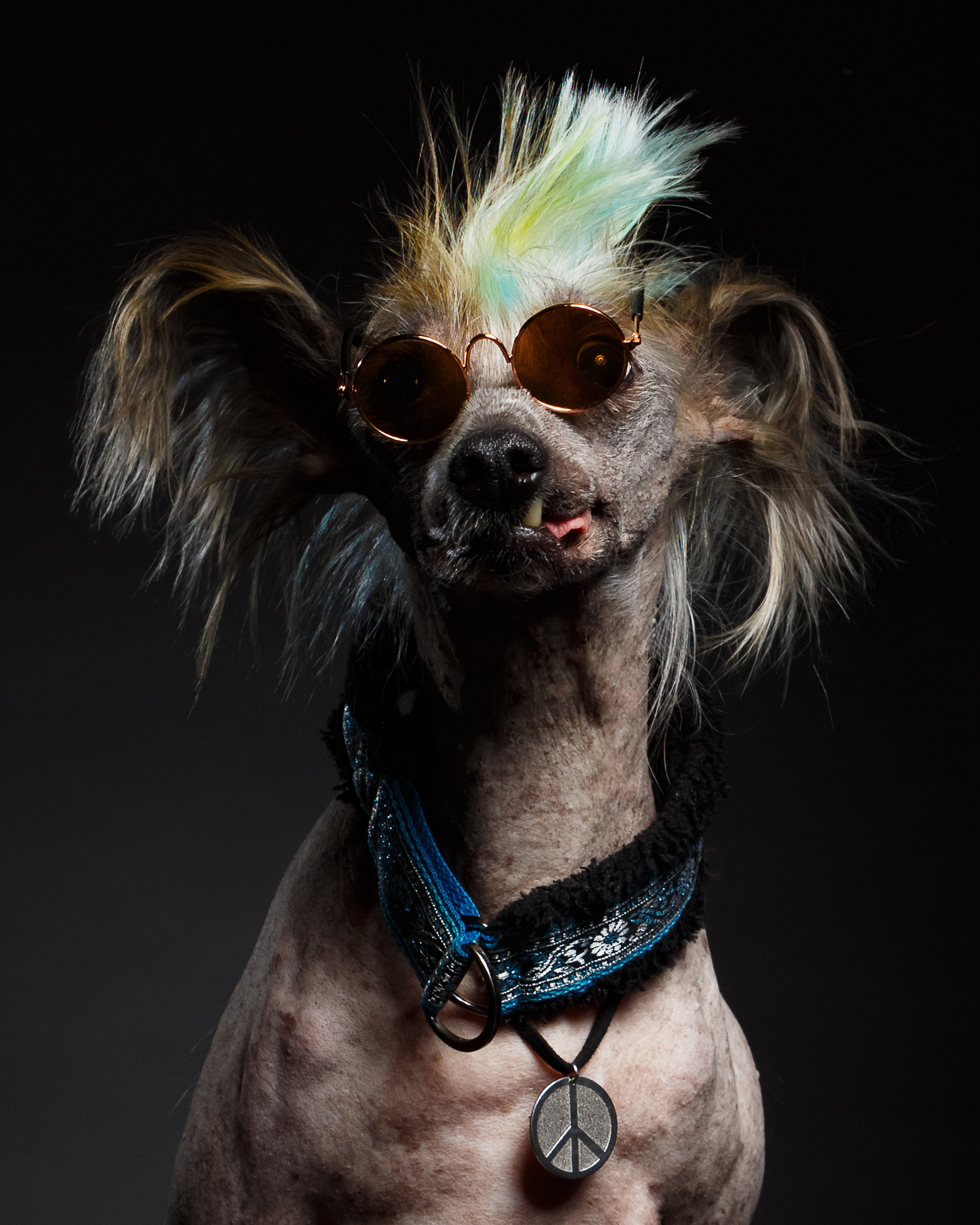 Моня. ( Валерия Гай Германика)