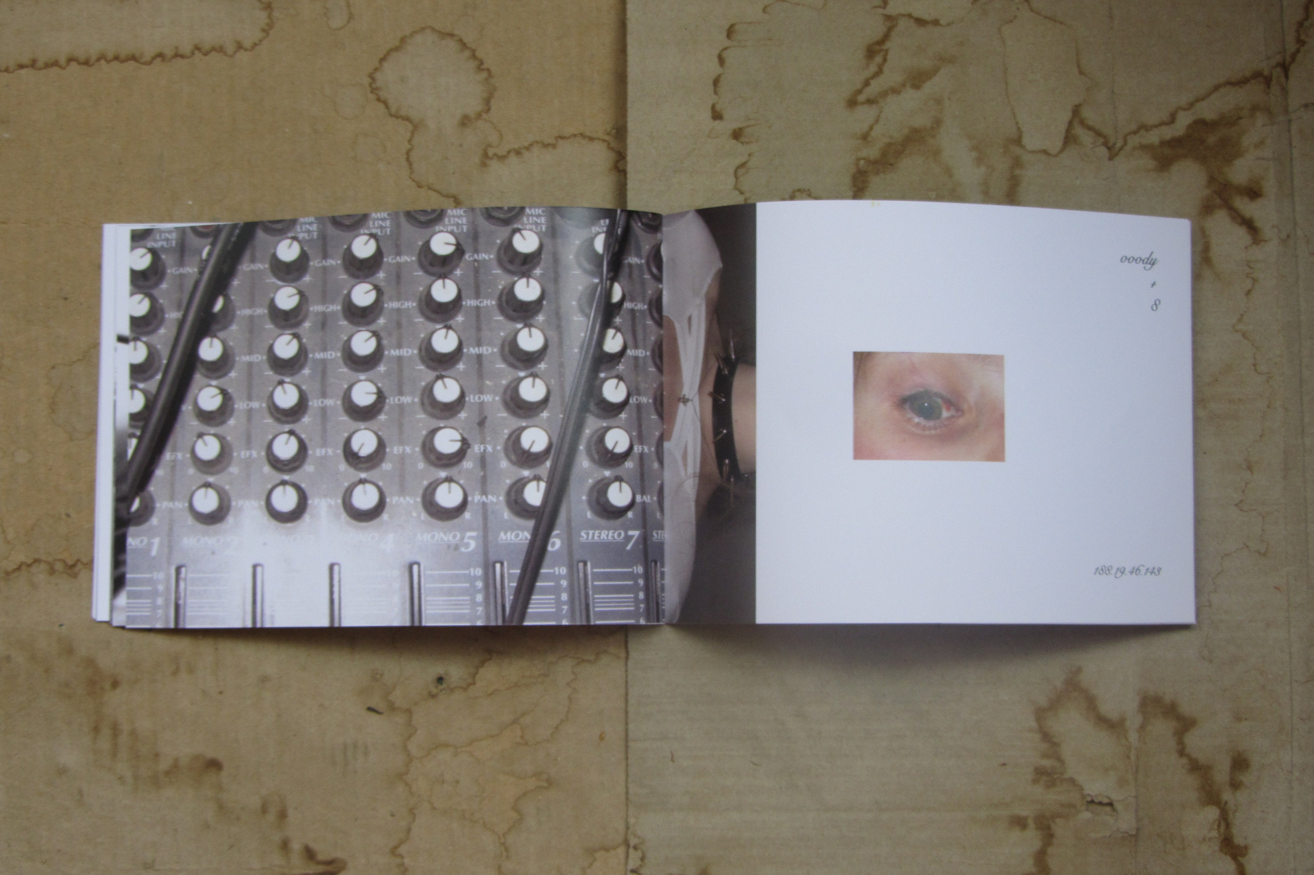 PERSONA 2024. Photographer Tabarchuk Ulyana