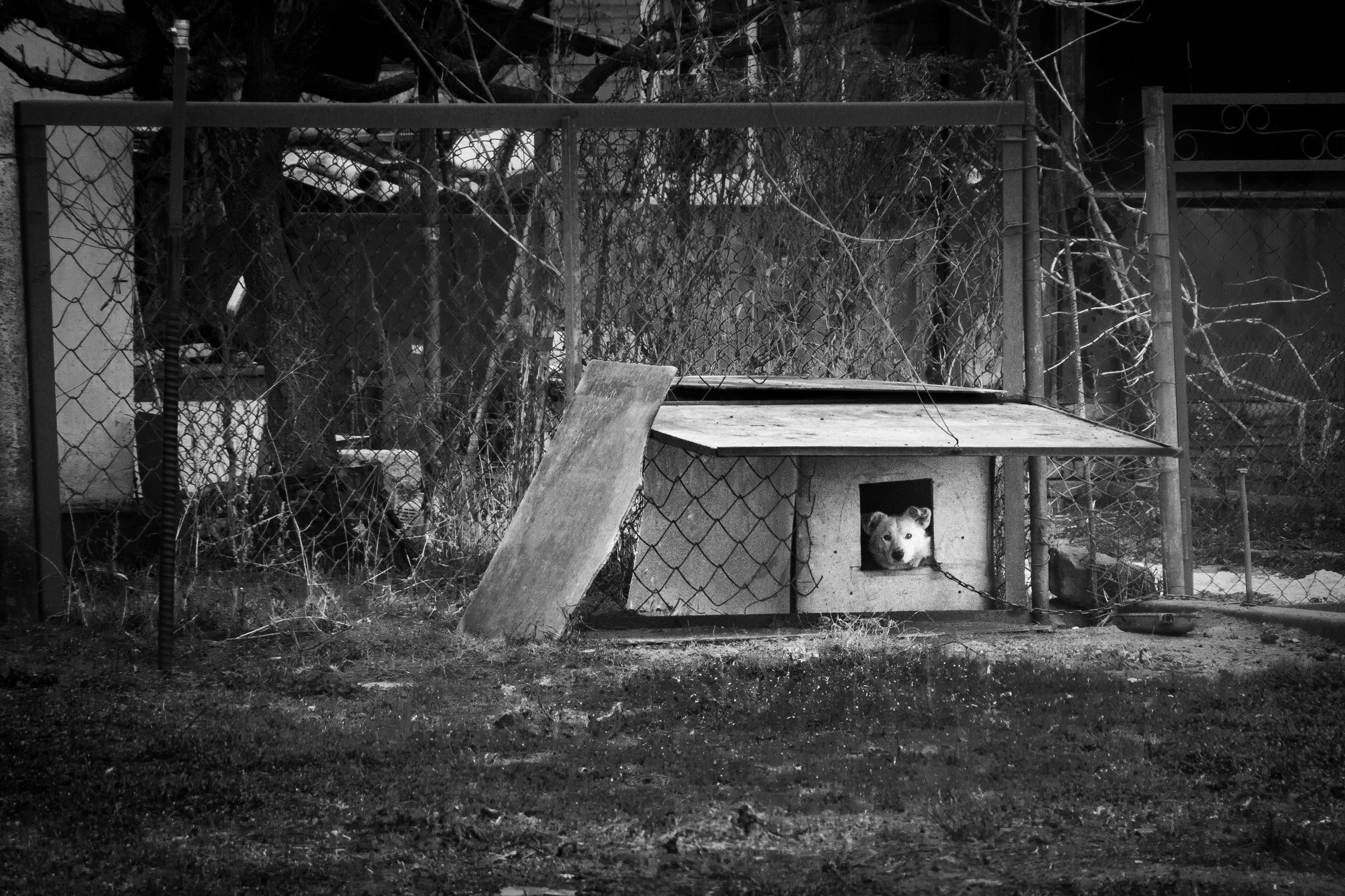 Деревня / Юг. Фотограф Антон Денисенко: Портрет, Документалистика, Пейзаж. Москва