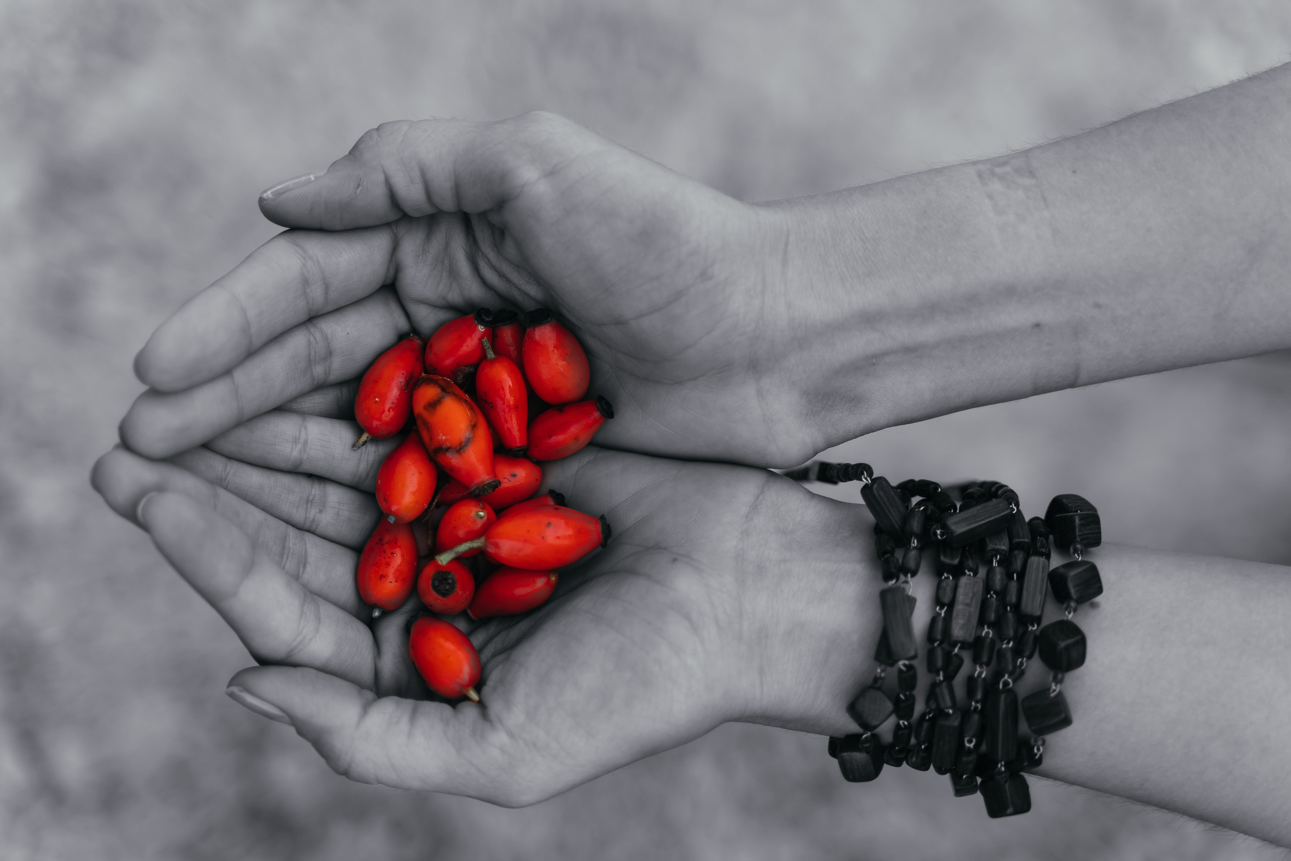 Фотограф Антон Перков