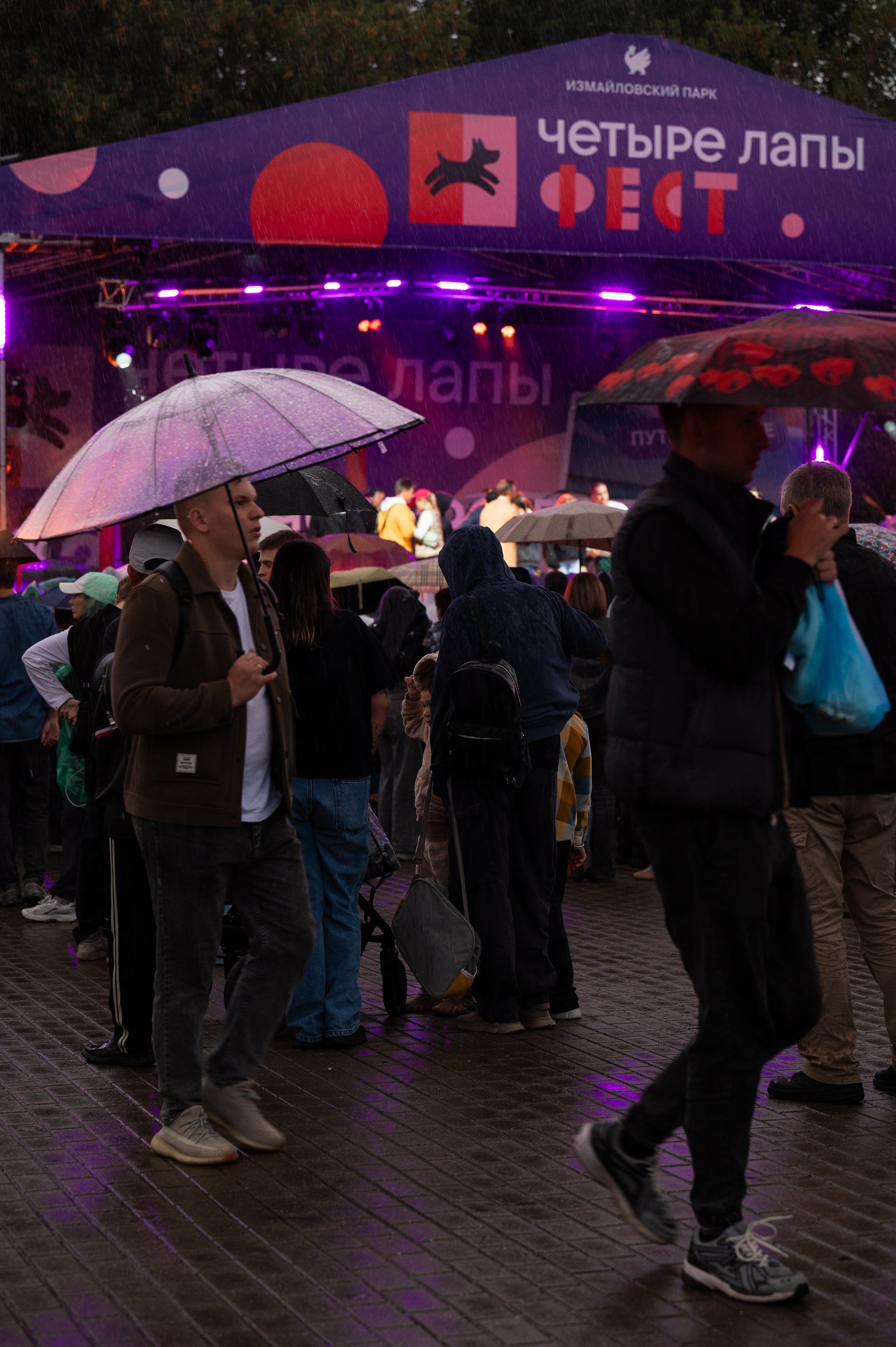 4lapy fest 2025. Photographer in Moscow Anna Chistiakova