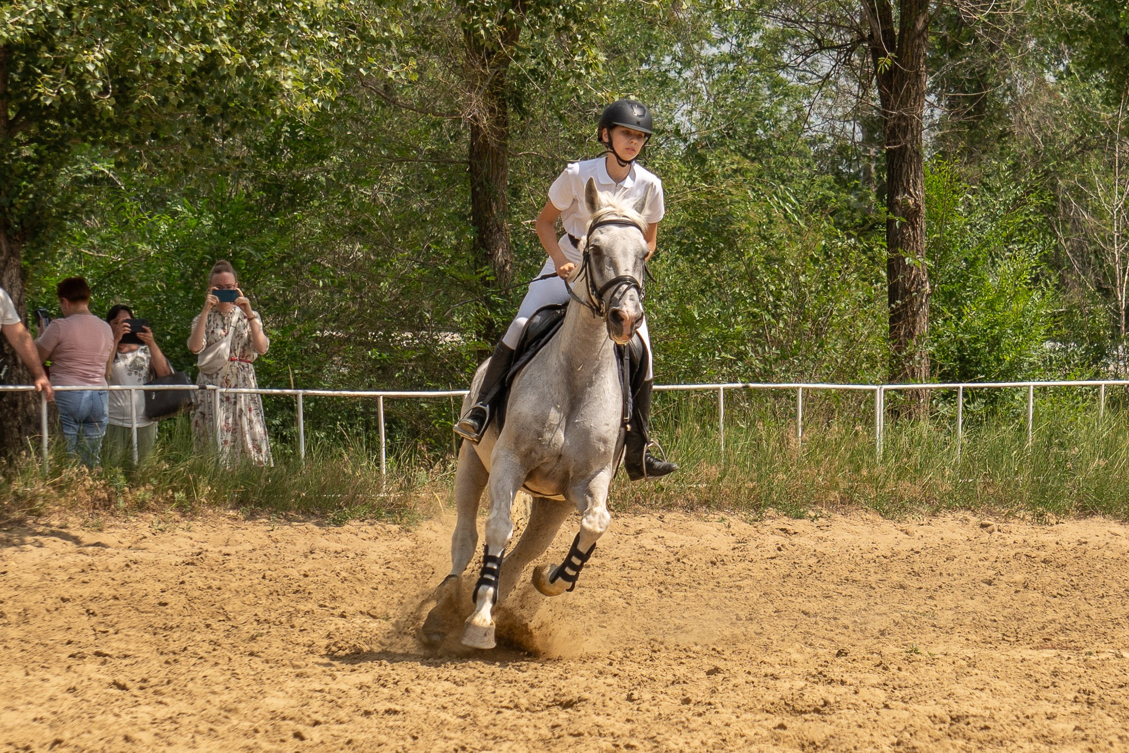 Соревнования по конкуру, Луганск. Фотограф в РФ и ЛНР Юлия Федосеева
