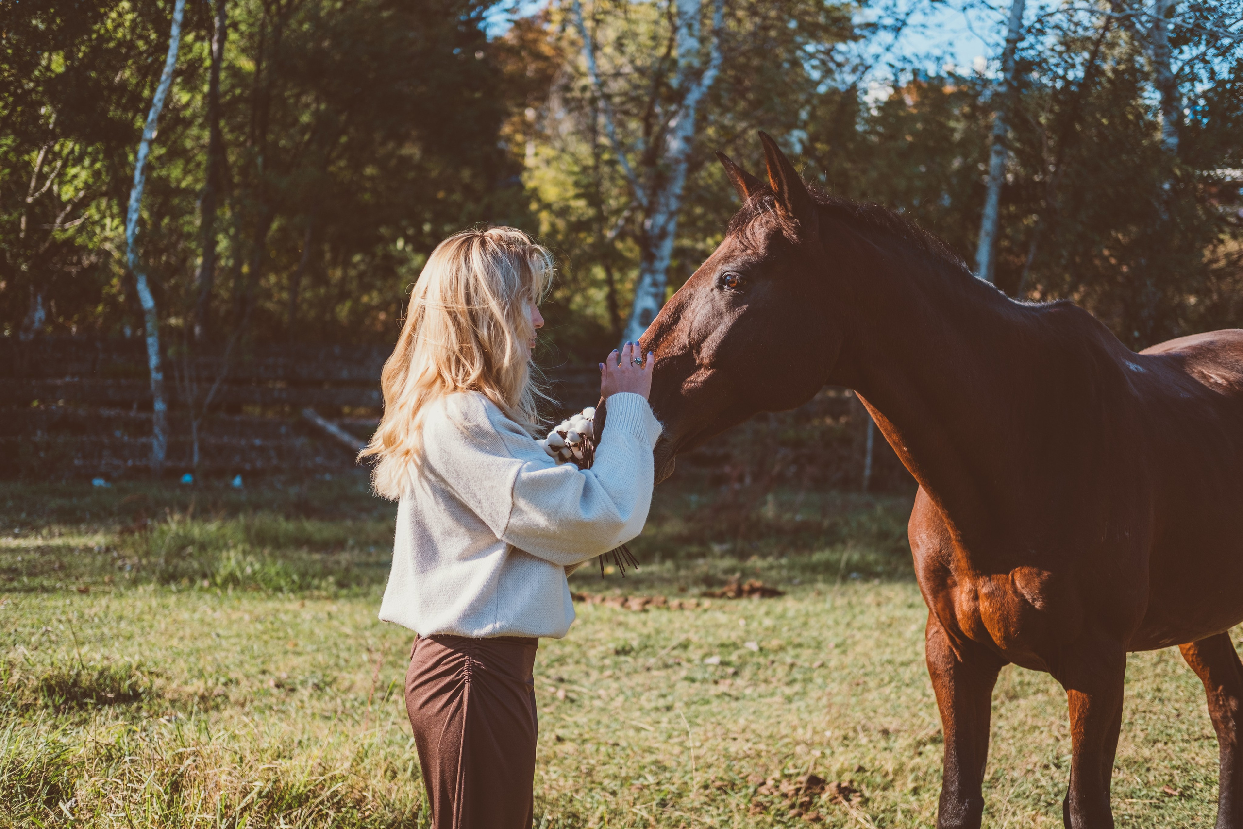Съёмка с лошадьми, в поле. Фотограф в Иркутске Анна Мирошникова