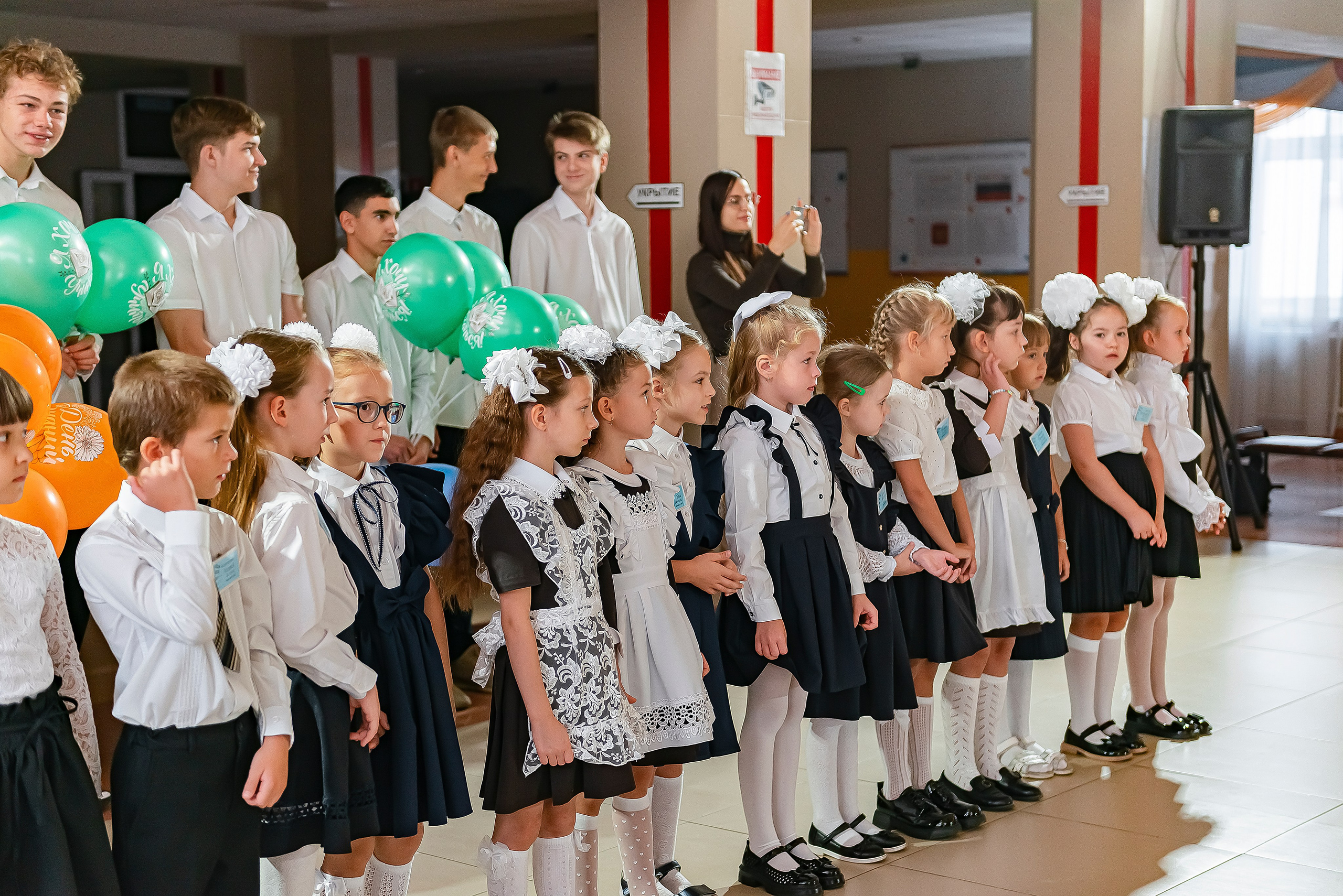 1 «В» | Гимназия № 3| г. Белгород |2024. ALBUMIA