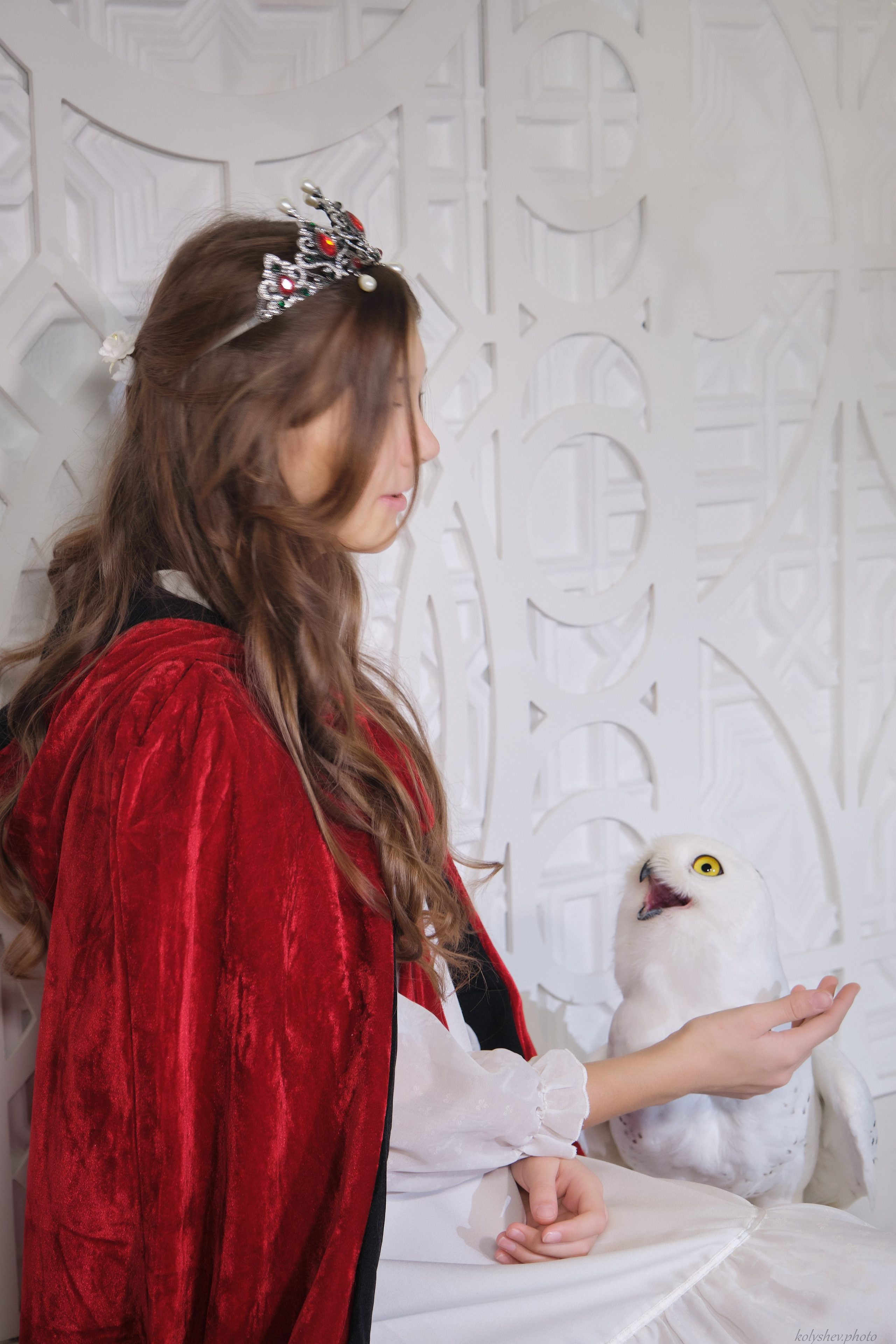 детская фотосессия с полярной совой в москве