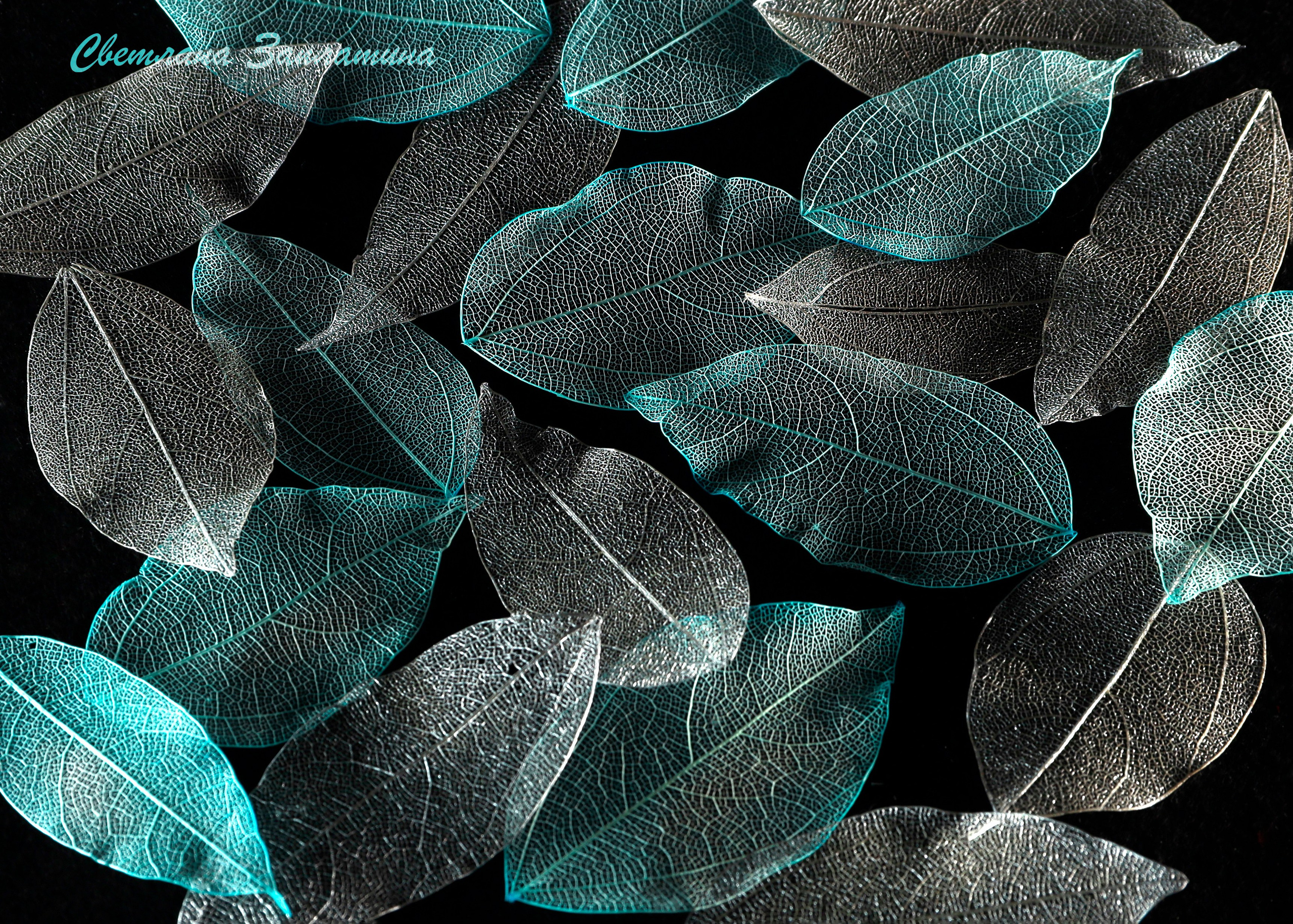 Предметная съемка. Фотограф Светлана Заплатина