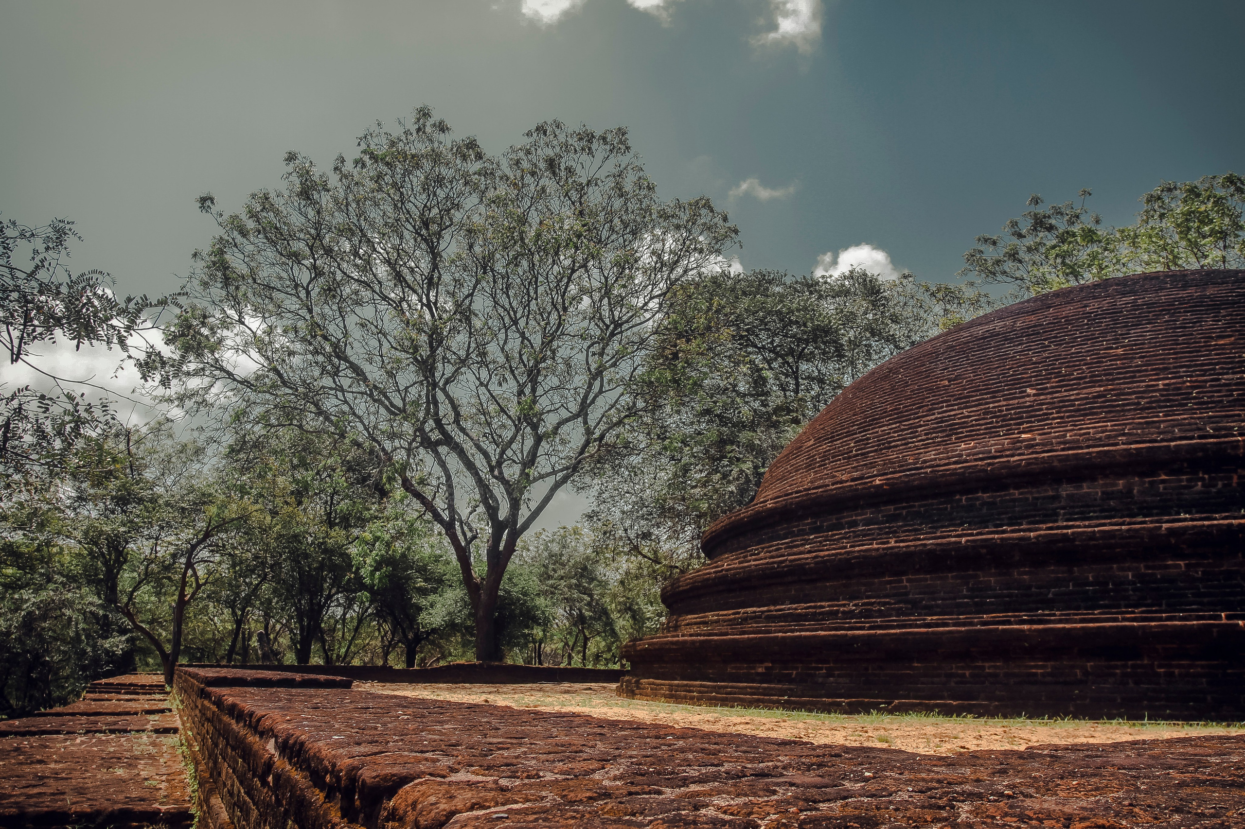 Sri Lanka. Art Photographer