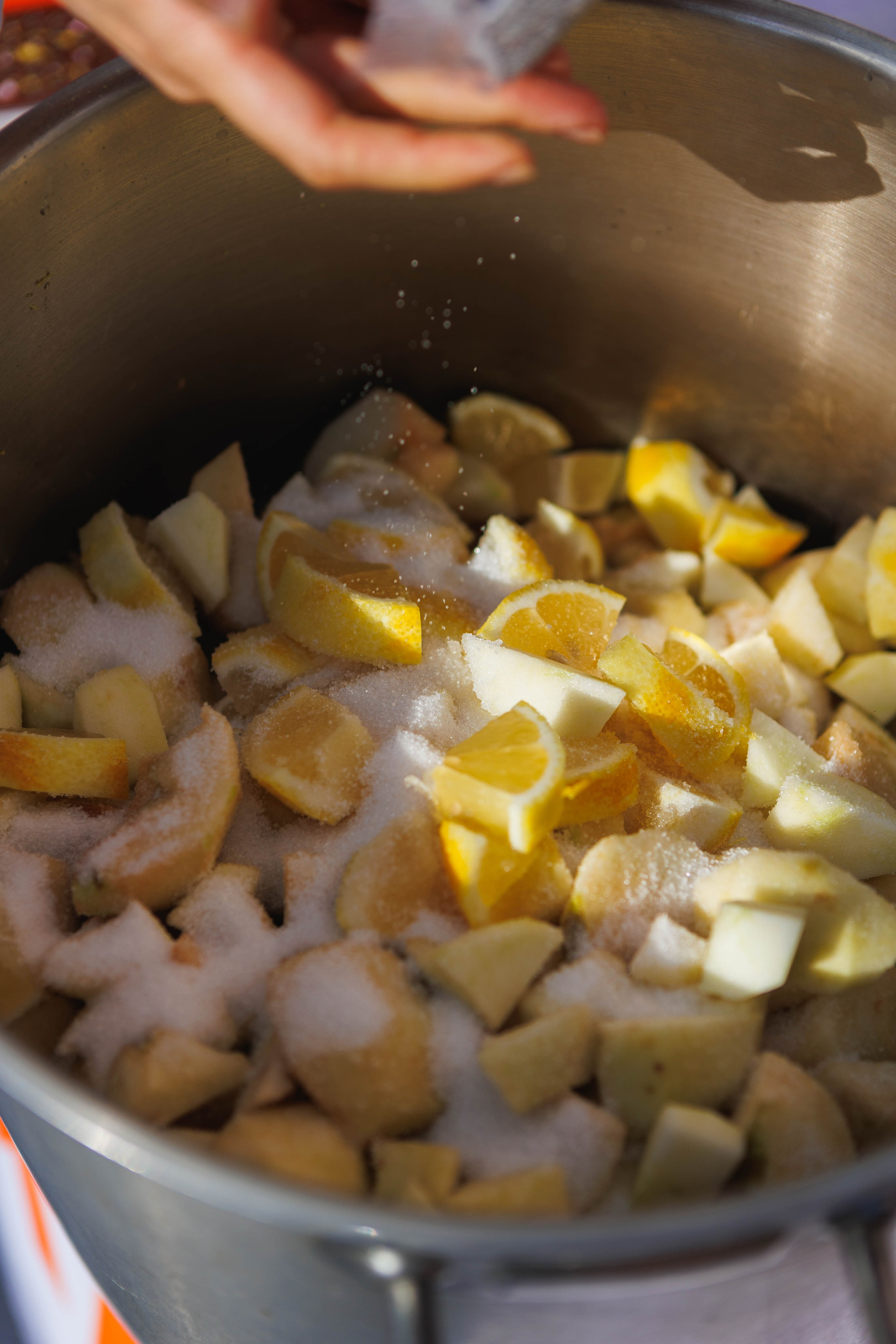 Репортаж с кулинарного фестиваля на дне города. Тула. Фотограф в Туле Павел Парахин