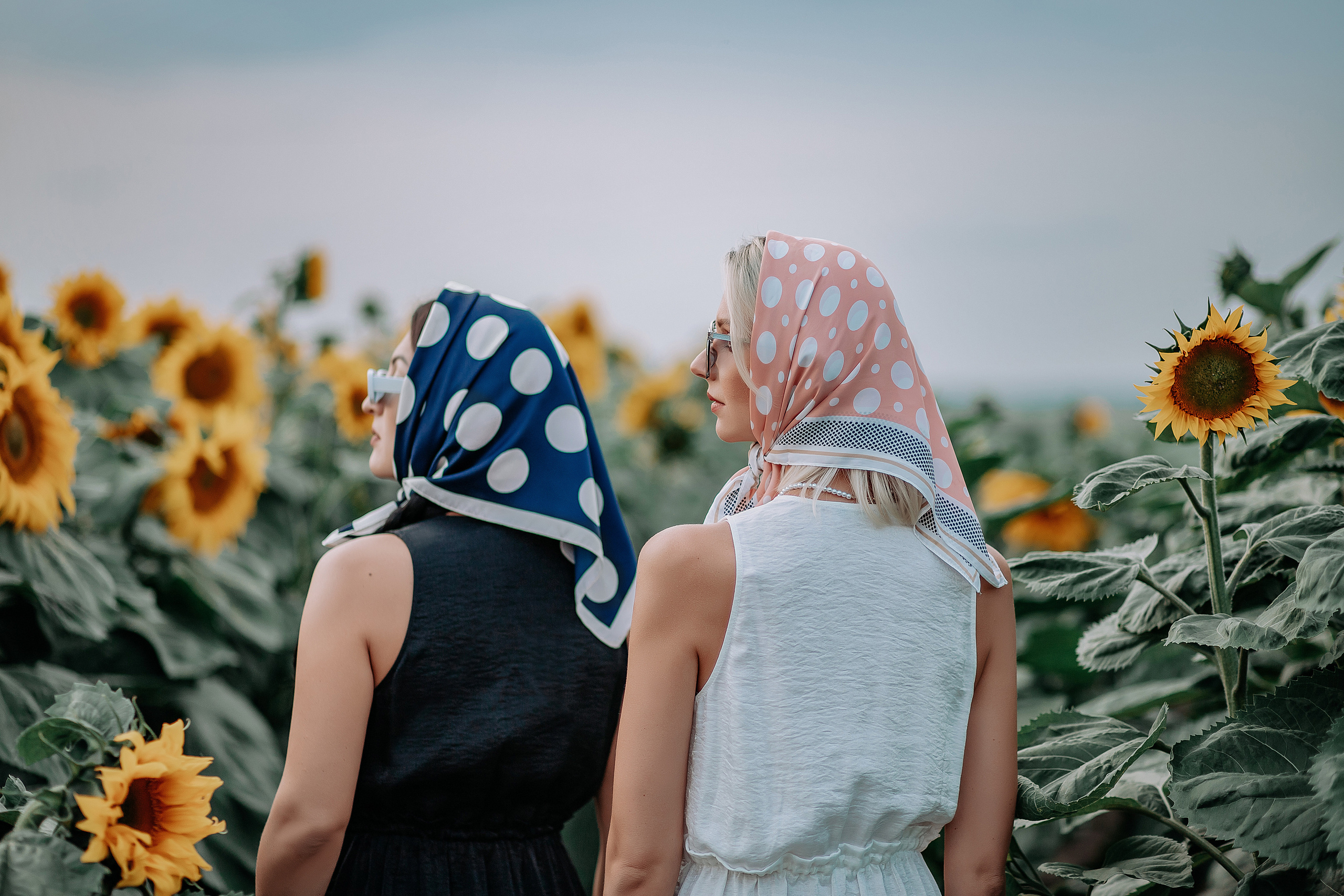 Фэшн в подсолнухах. Детский и семейный фотограф в Красноярске Юлия Бирюкова