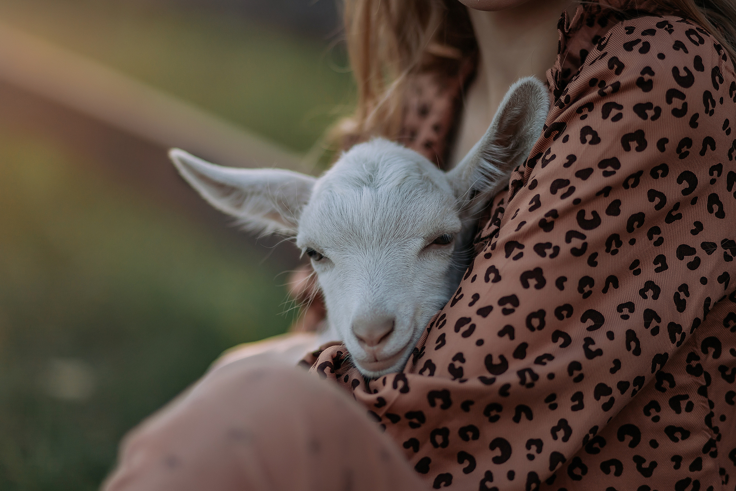 Ранчо Horse. Детский и семейный фотограф в Красноярске Юлия Бирюкова