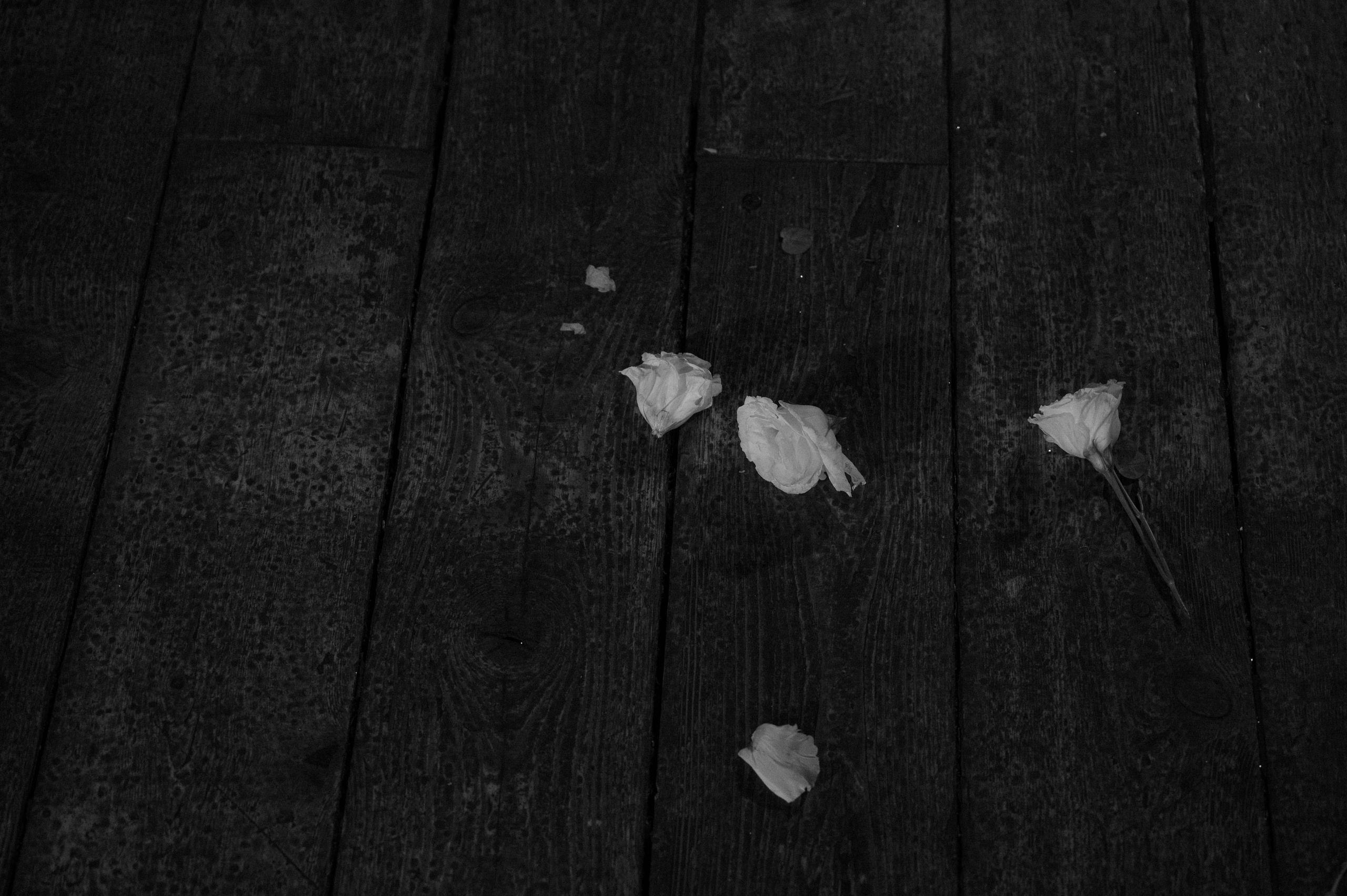 Никита и Ира. Фотограф в Москве. Антон S