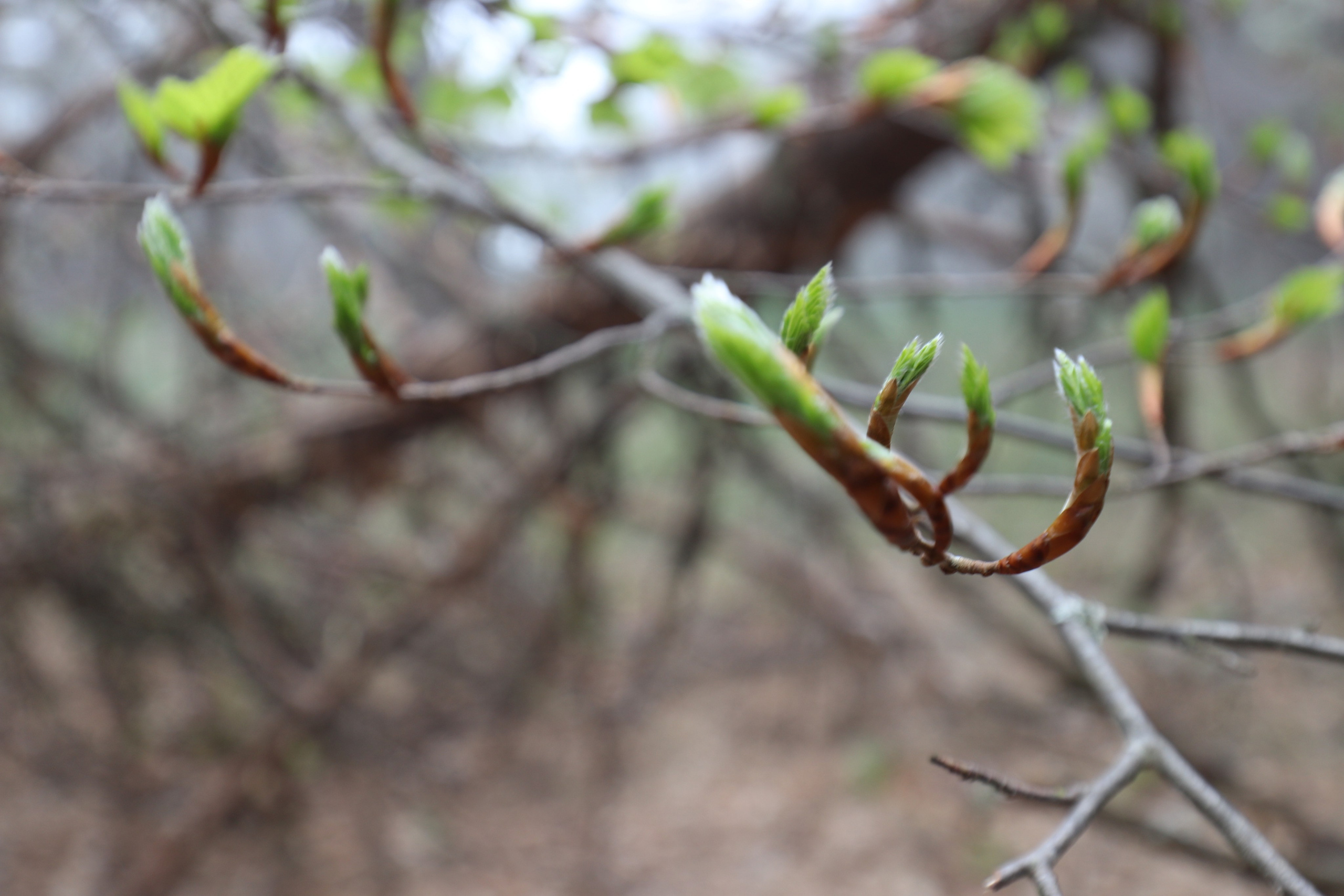 Крым. ЮБК (Бахчисарай, Демерджи, Судак). Первый скалолазный выезд. Май 2019. Путешественник-фотограф из Санкт-Петербурга Татьяна Свистулина