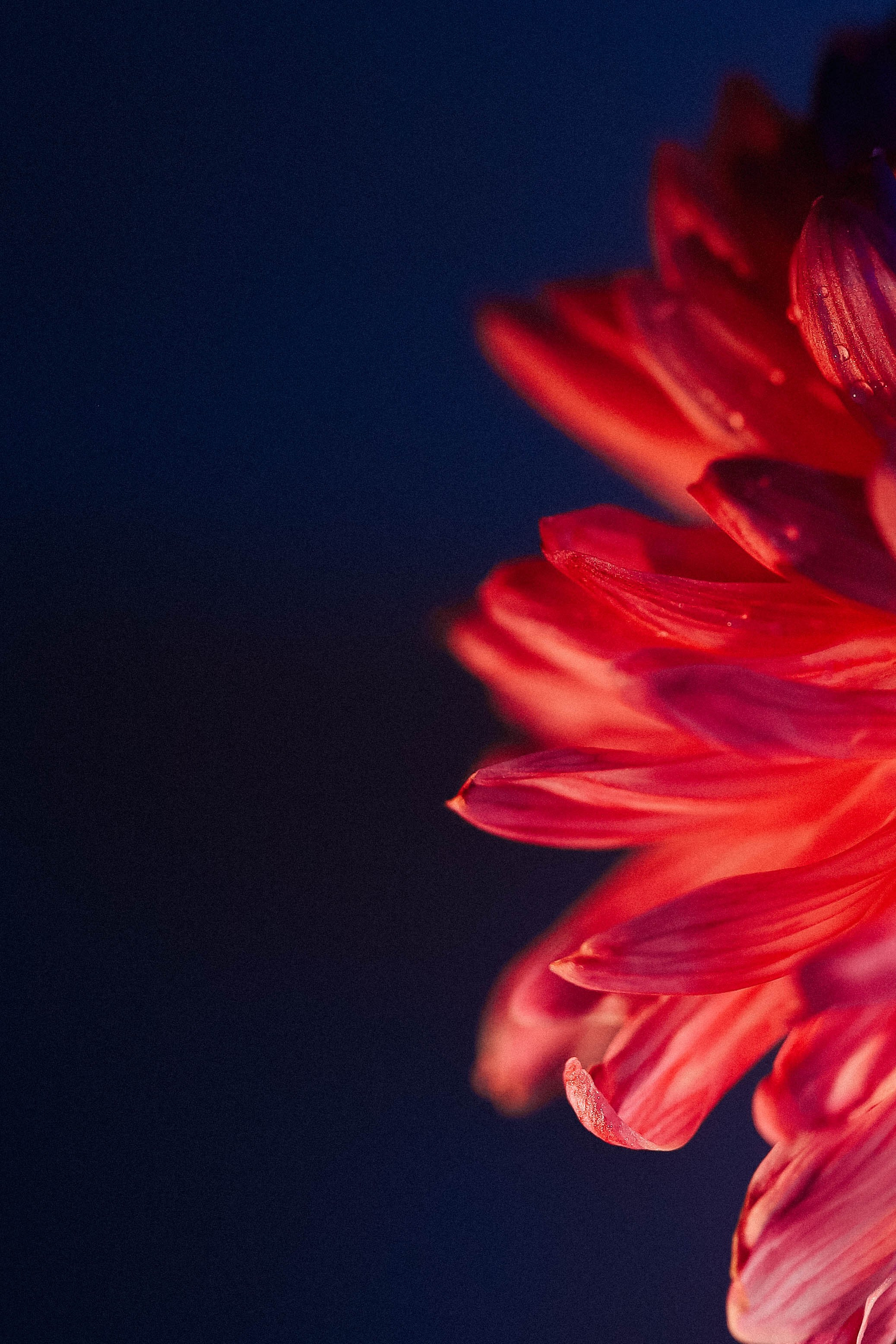 Теплые истории. Фотограф  Ксения Евдокова. Дзержинск, Нижний, Москва, Питер