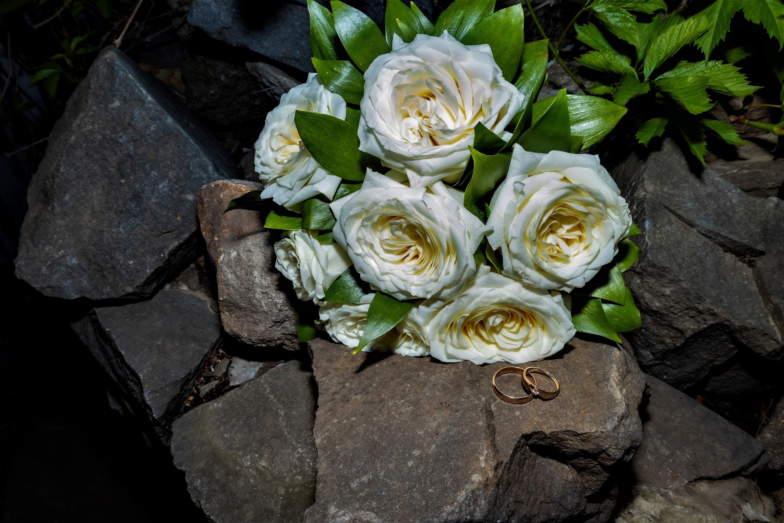 Сергей и Снежана г. Сальск. Свадебный фотограф ростовская область