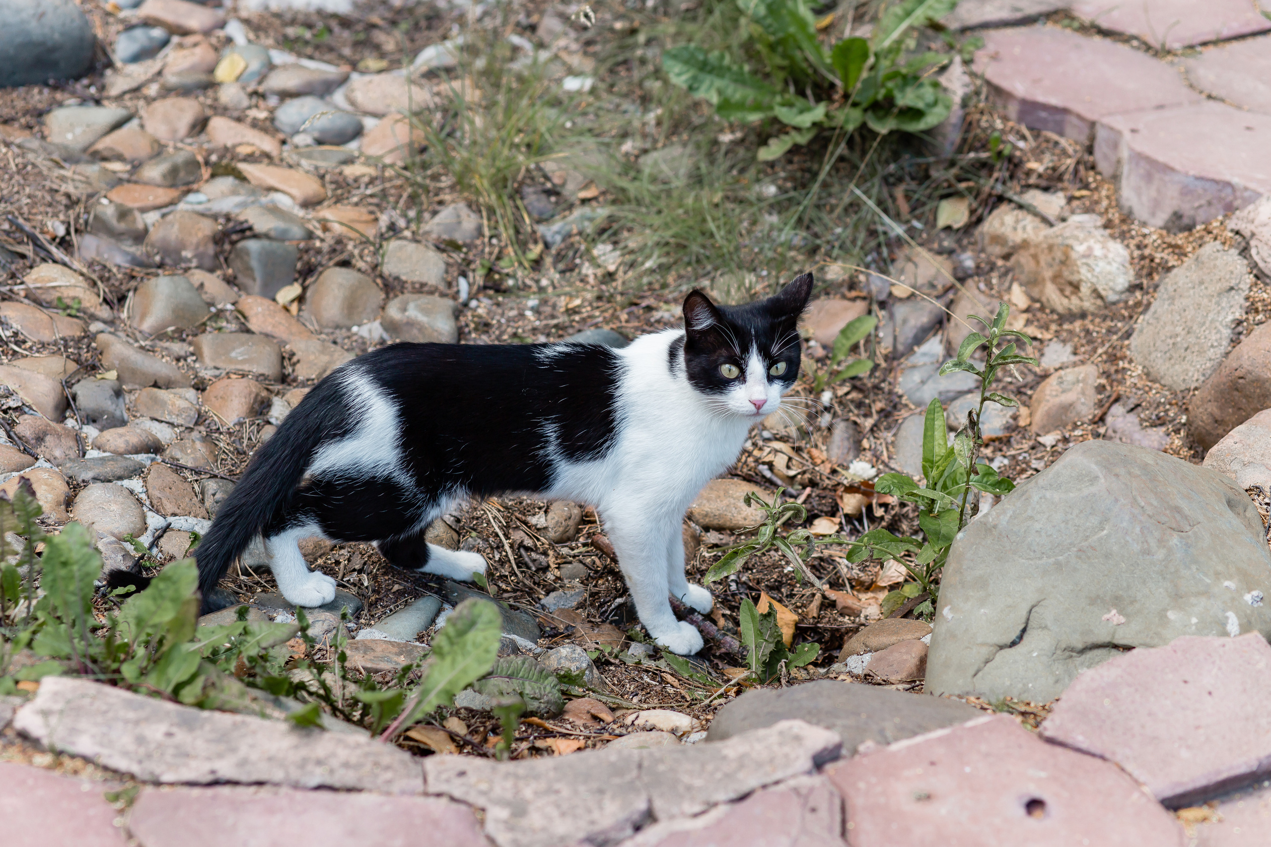 Ольга и Никита. Свадебный фотограф в Омске Яна Савина
