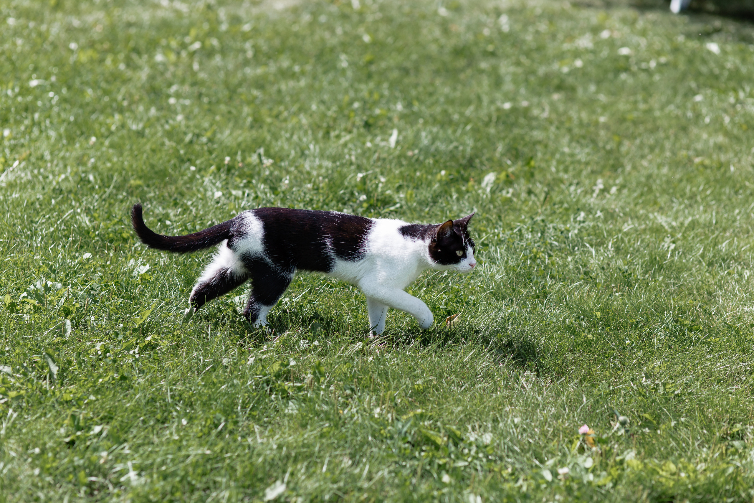 Ольга и Никита. Свадебный фотограф в Омске Яна Савина