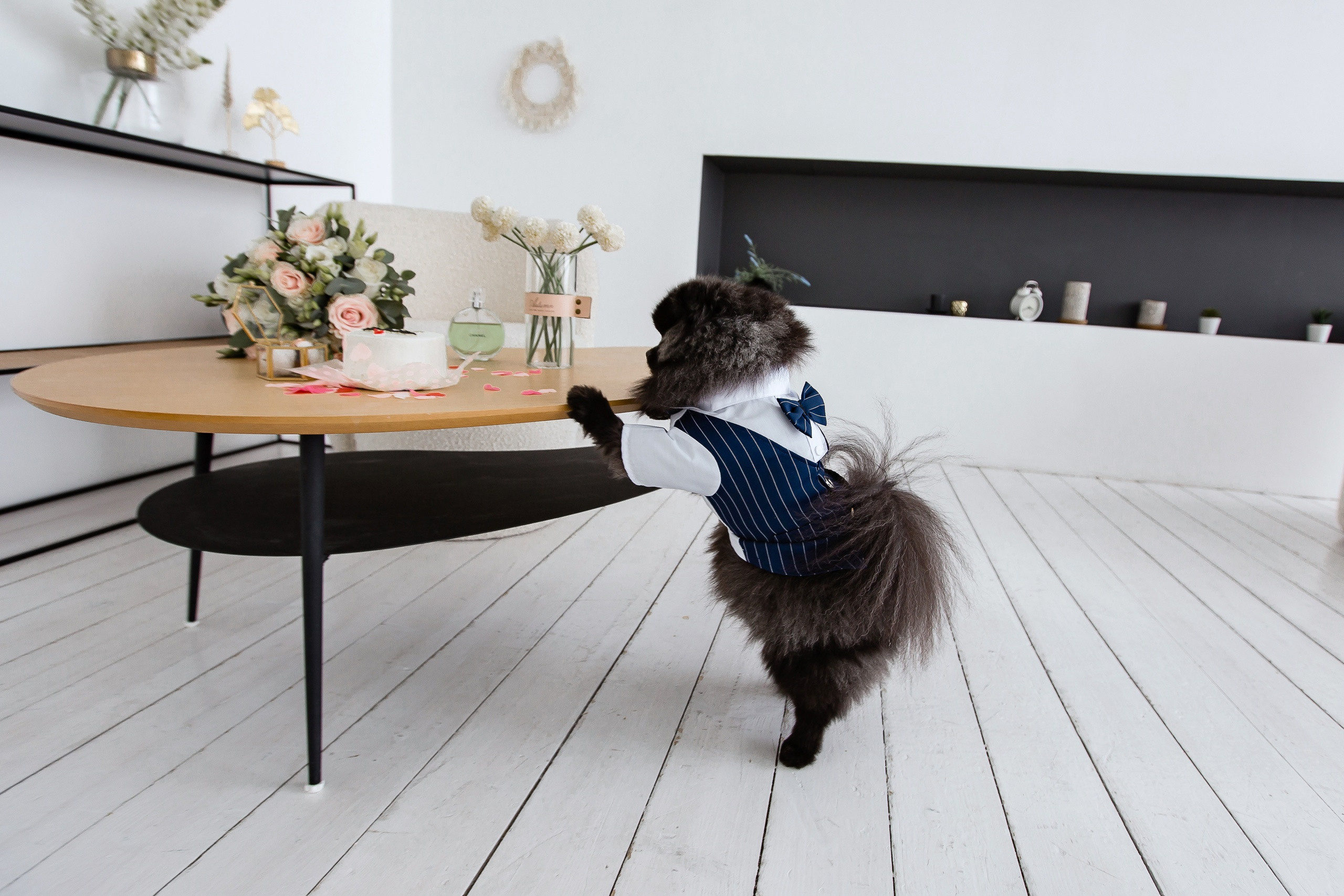 Ксения и Алексей. Свадебный фотограф в Омске Яна Савина