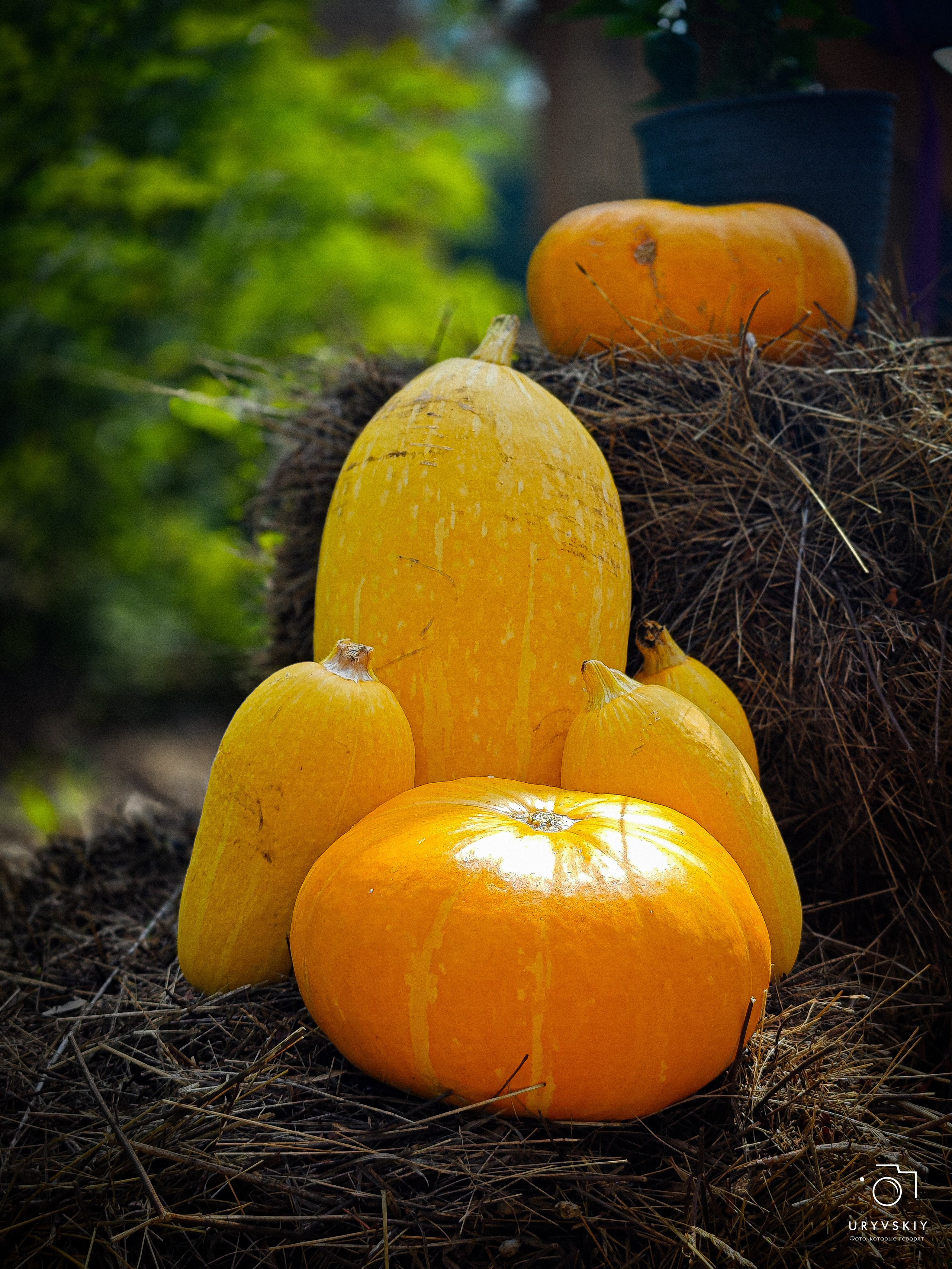 Арт пространство «Хлебзавод». Игорь Урывский. Фотограф Красноярск