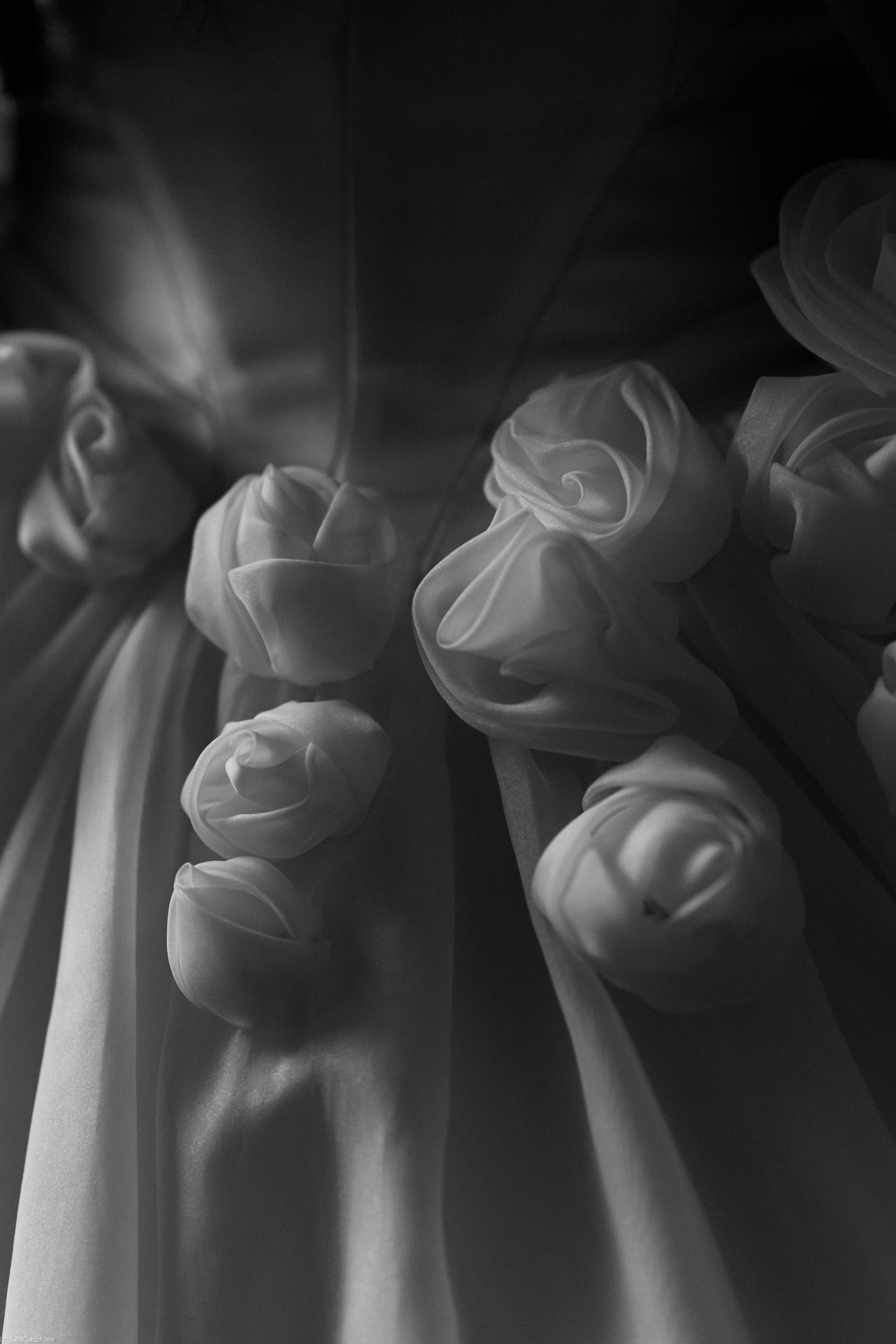 Int Union. Фотограф в Махачкале Саид Гаджиев