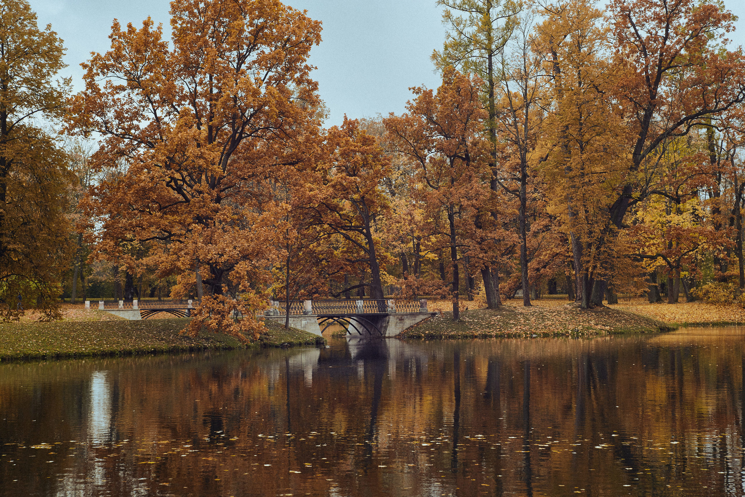 Разное. Фотограф Анастасия Федорова  Санкт-Петербург