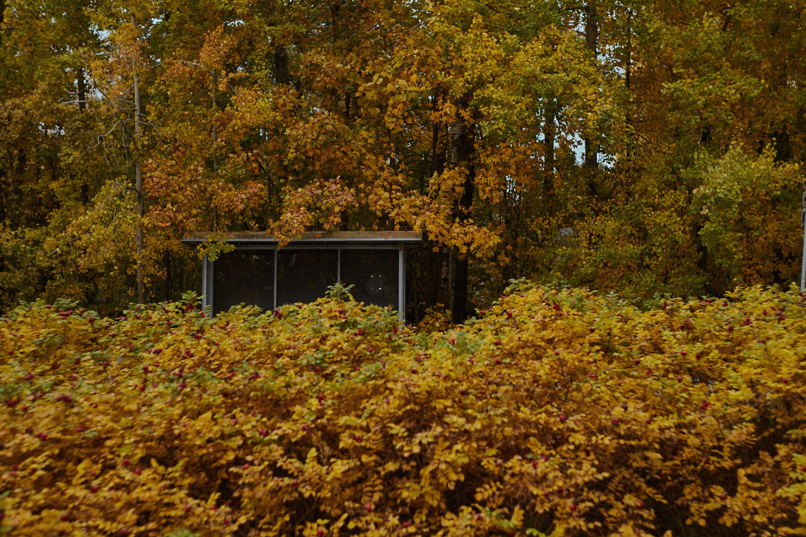 Разное. Фотограф Анастасия Федорова  Санкт-Петербург