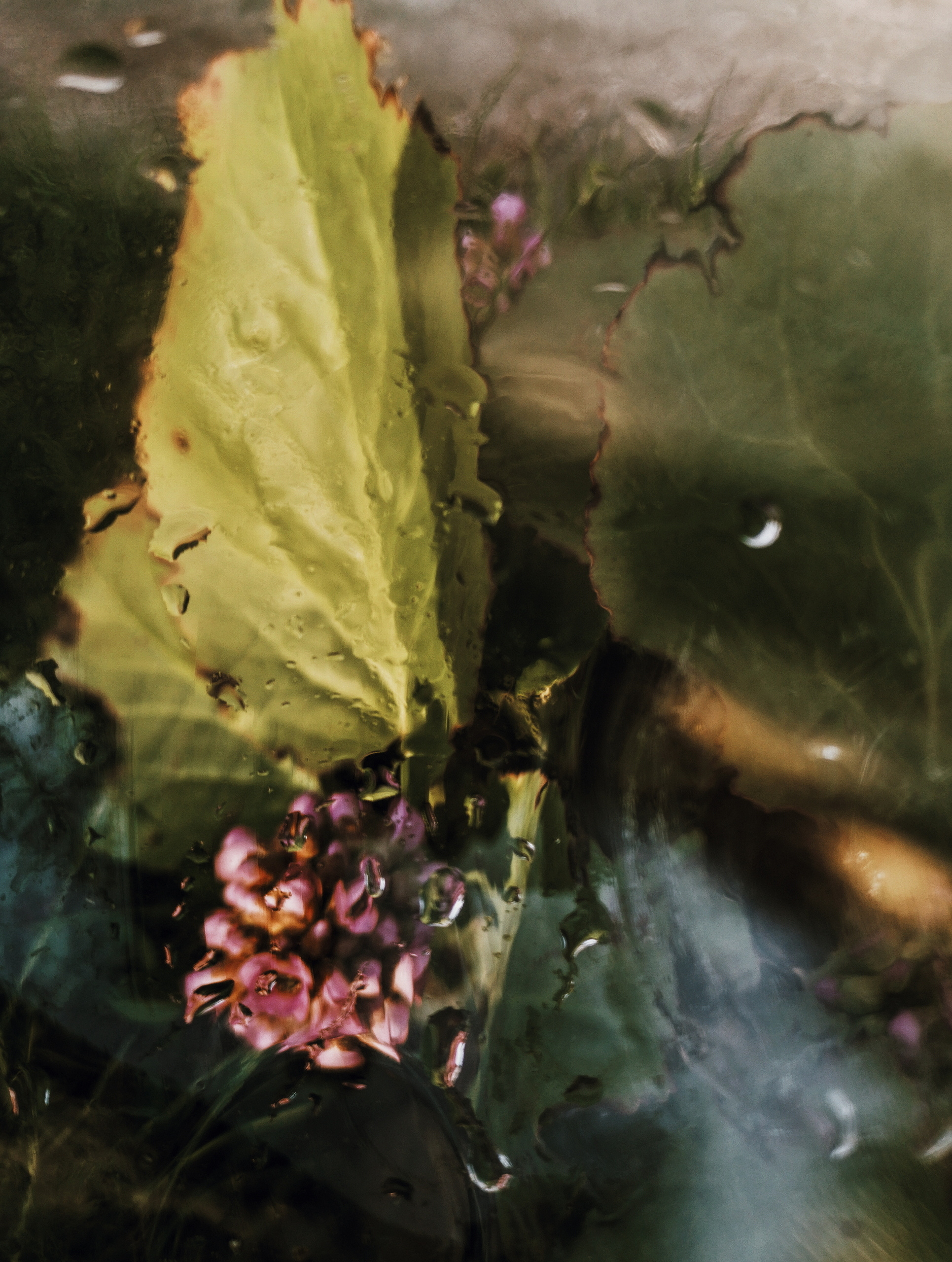 Art пейзаж. Фотограф Анастасия Федорова  Санкт-Петербург