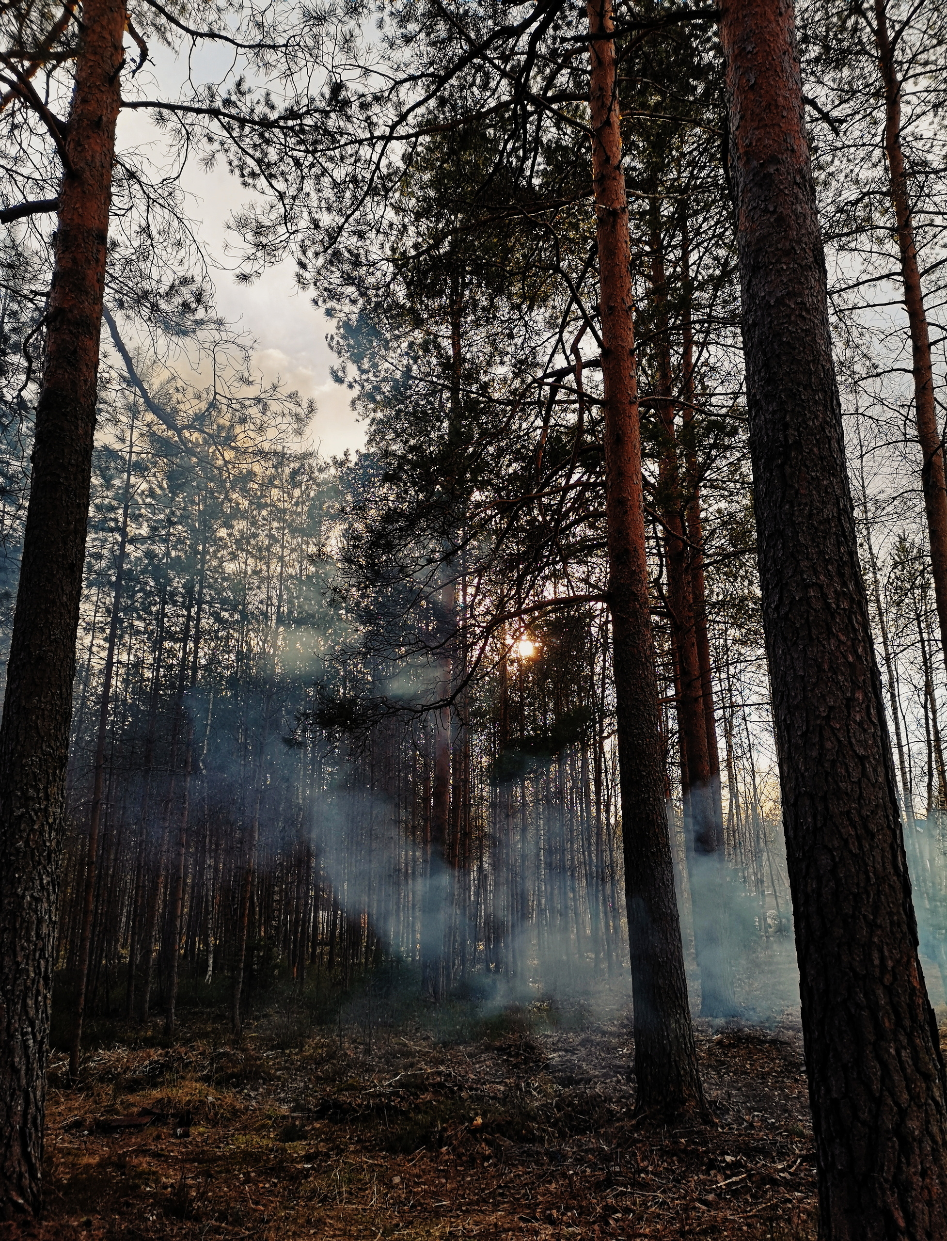 Разное. Фотограф Анастасия Федорова  Санкт-Петербург