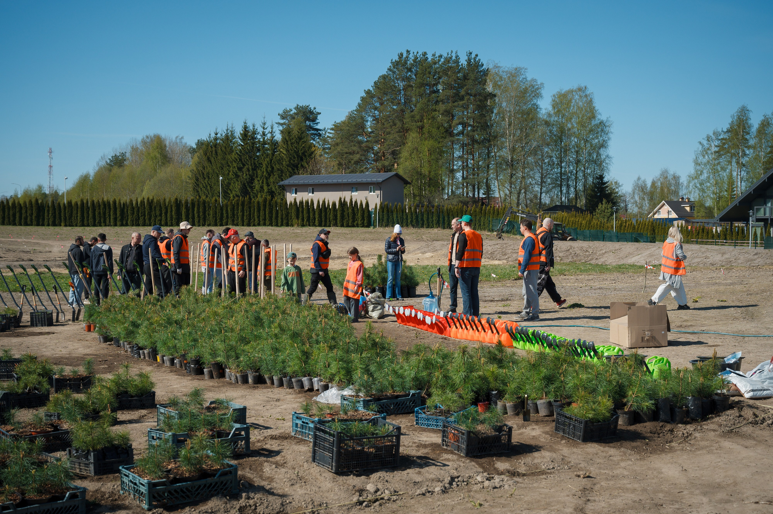 Кедровый парк Biotropika. Ваш свадебный и репортажный фотограф в Санкт-Петербурге Вячеслав Ивахненко