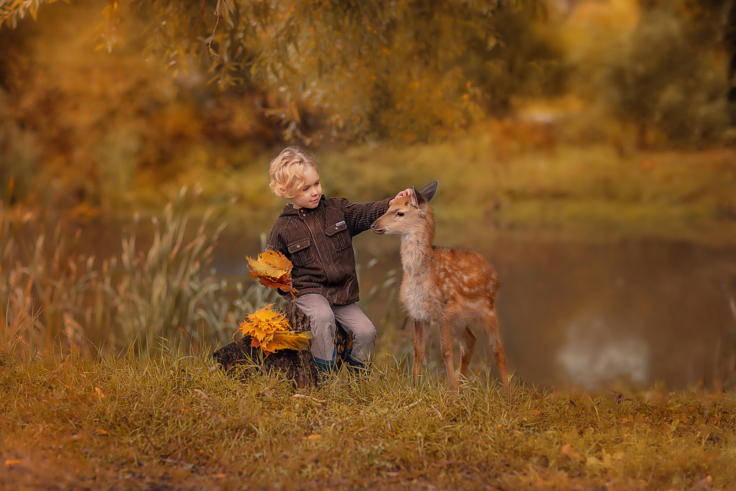 Семейные фотосессии на природе. Семейный, детский фотограф в Москве, Подмосковье