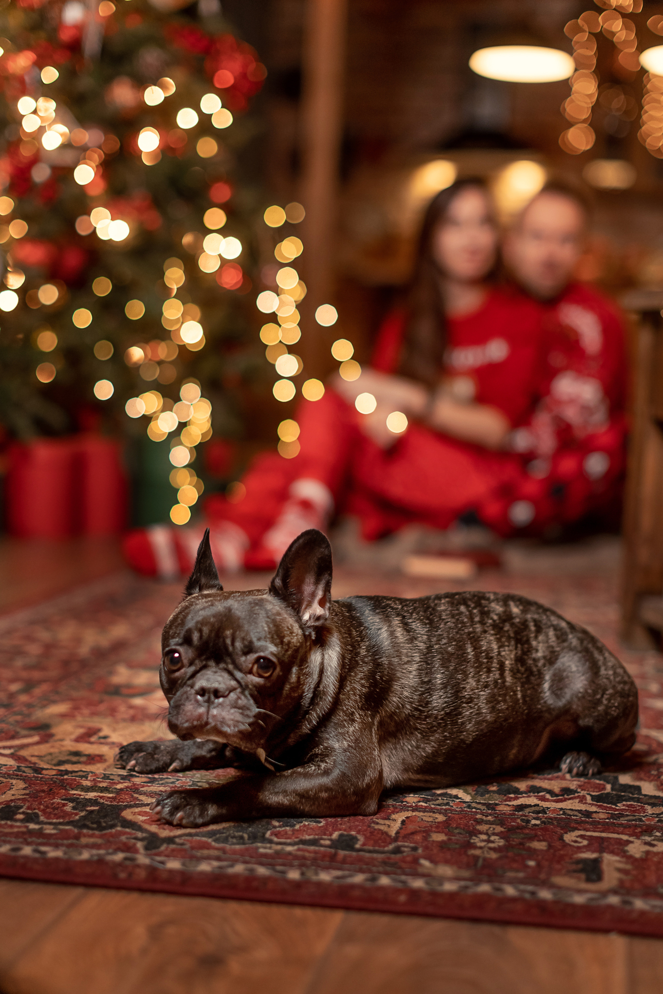 Новогодние фотосессии. Семейный, детский фотограф в Москве, Подмосковье