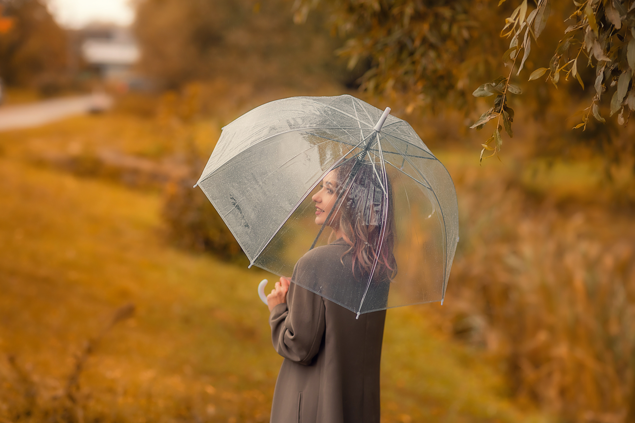 Семейные фотосессии на природе. Семейный, детский фотограф в Москве, Подмосковье