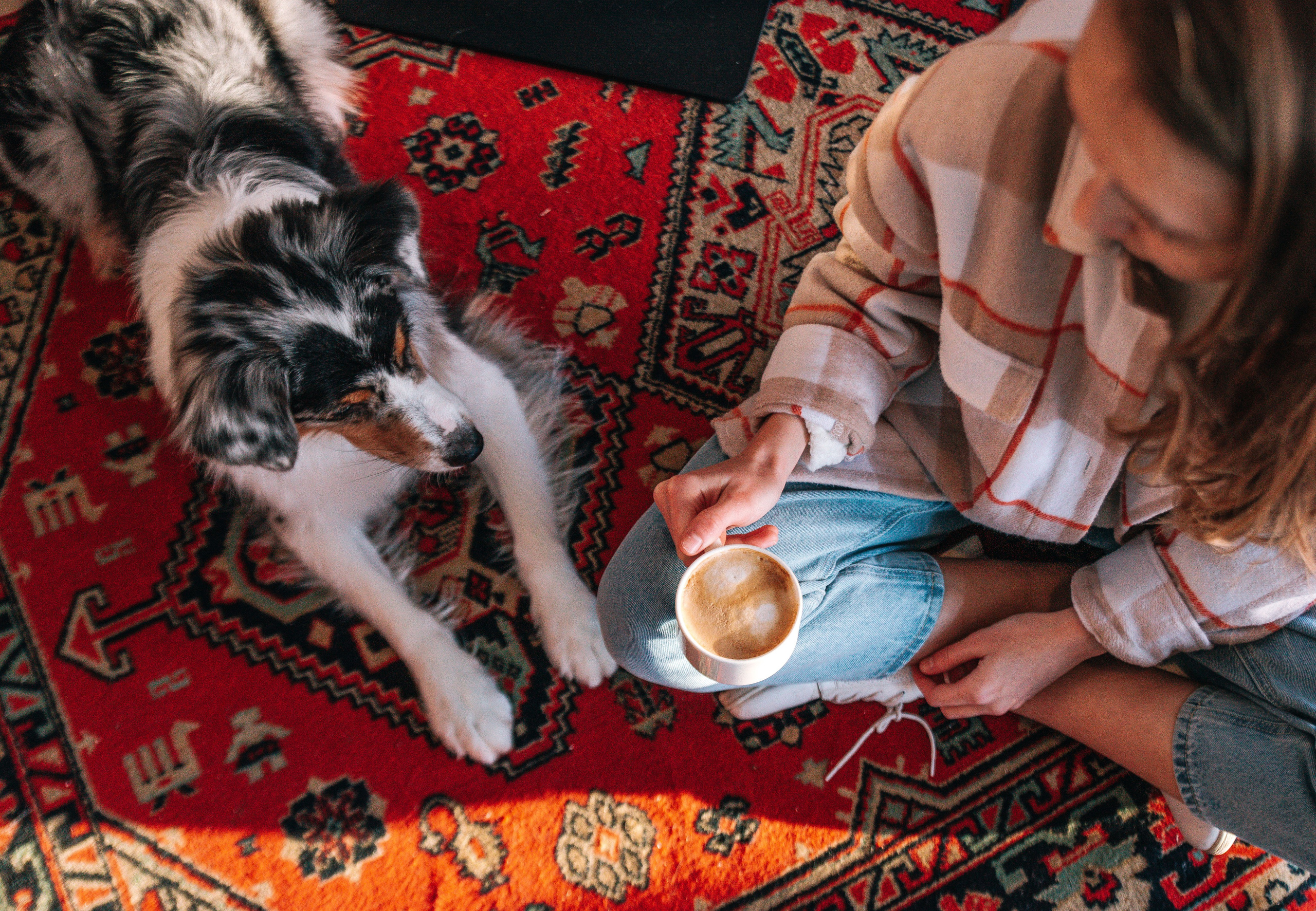 Лиза и Харли в кафе. Главная