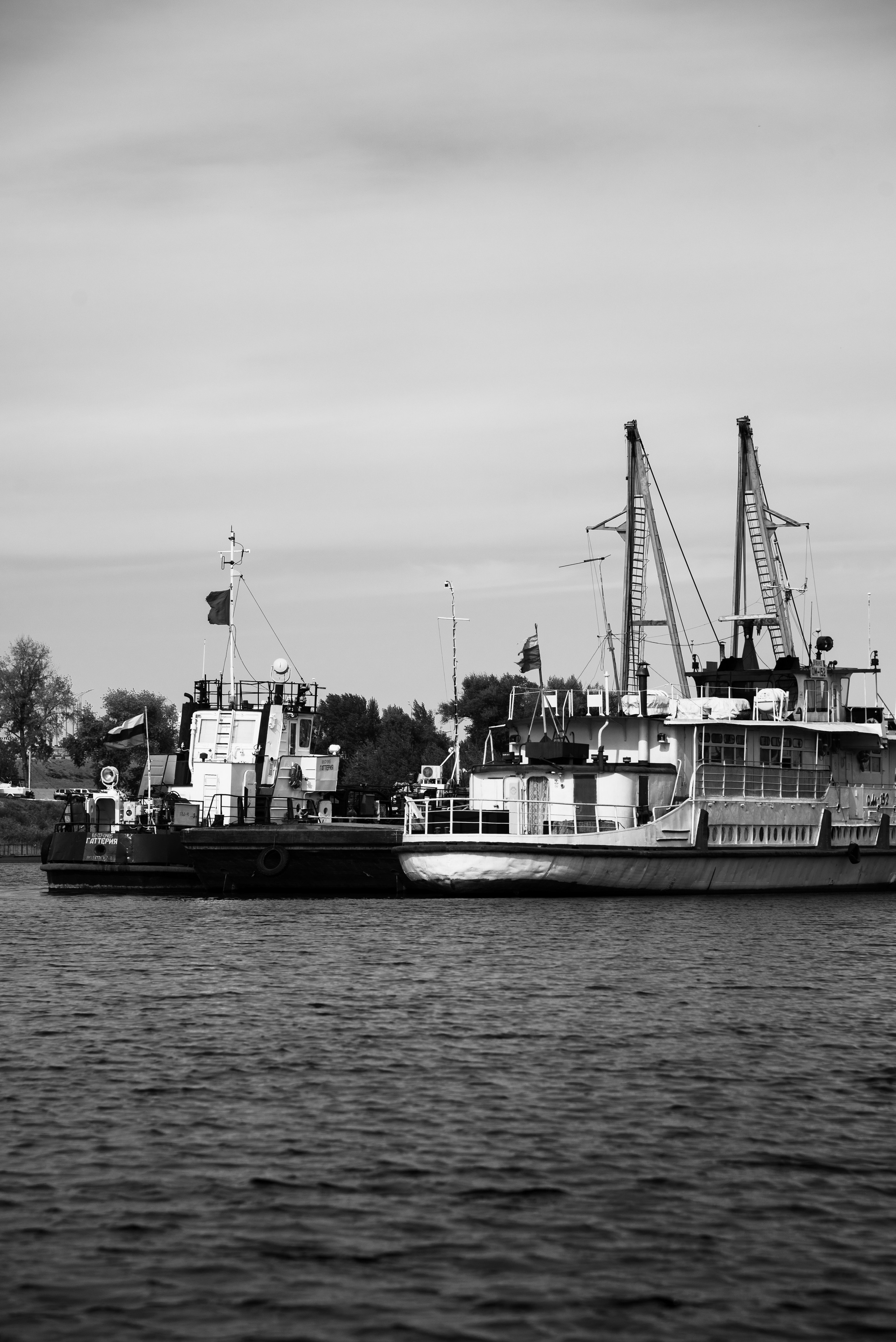 Репортажная фотосъёмка в Волгограде. Свадебный, портретный фотограф в Волгограде Ермашова Дарья
