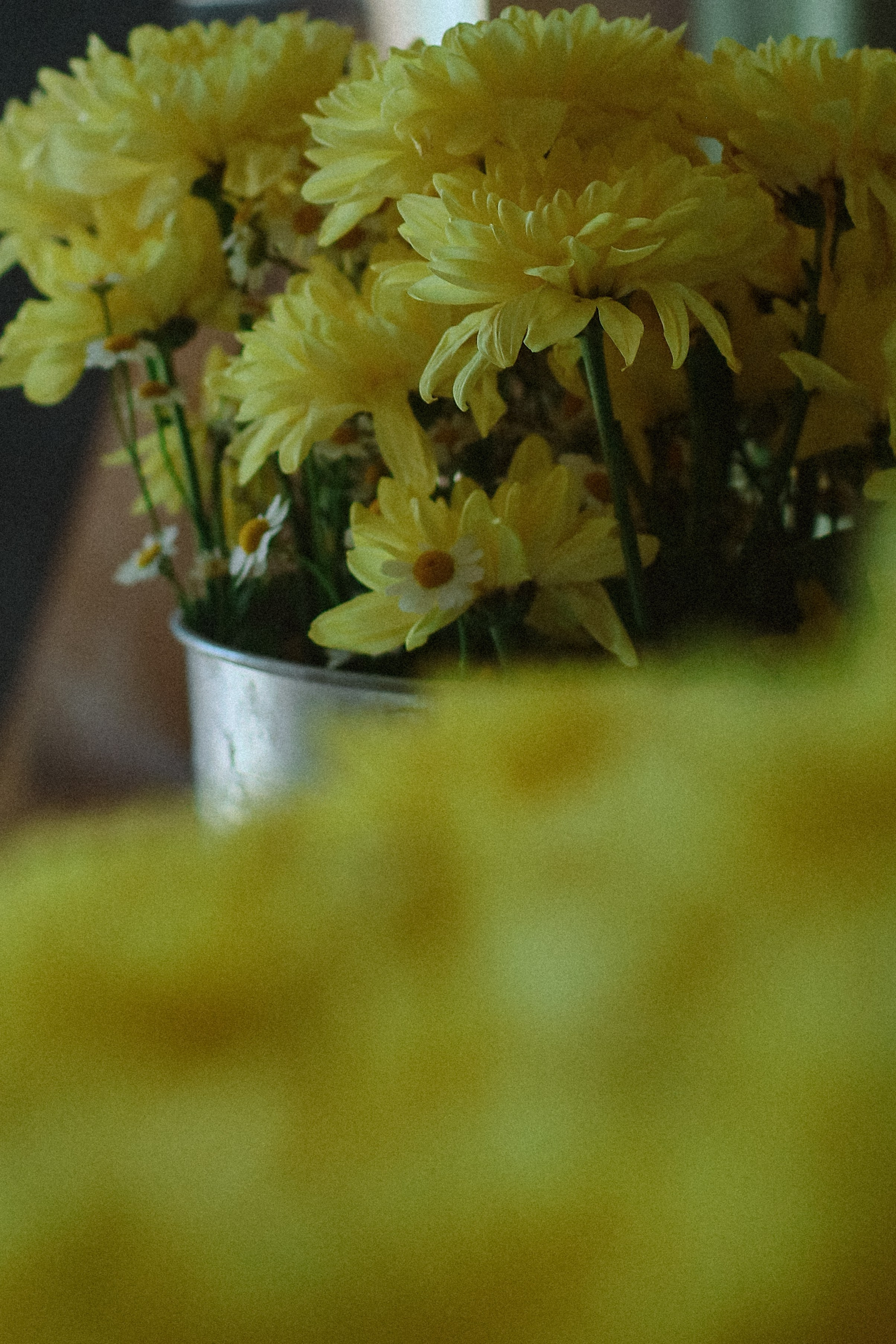 Детская семейная фотосессия. Фотограф и видеограф Анастасия Витюкова | Екатеринбург