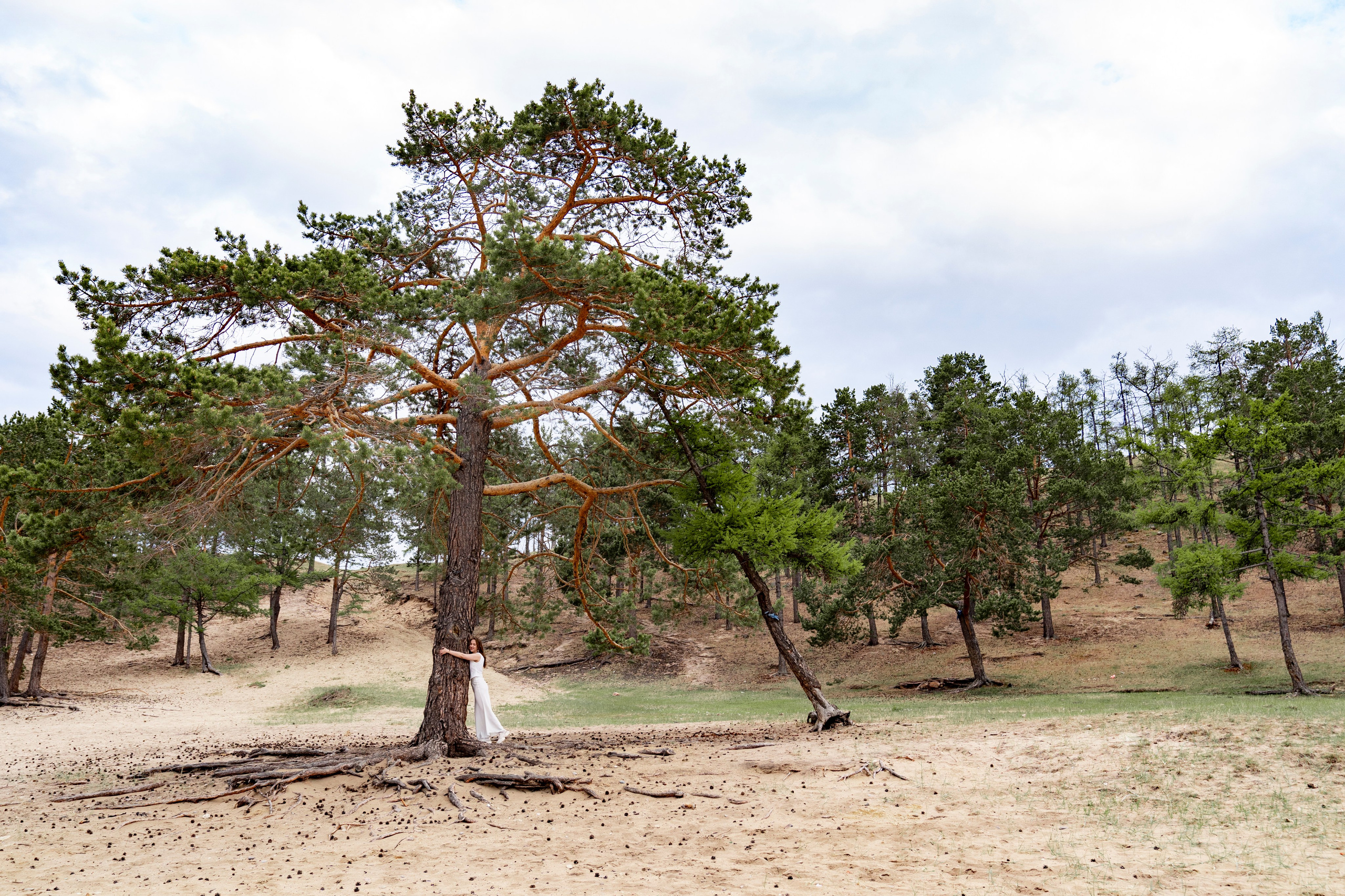 Свадебная съемка. Dmitry Golenko