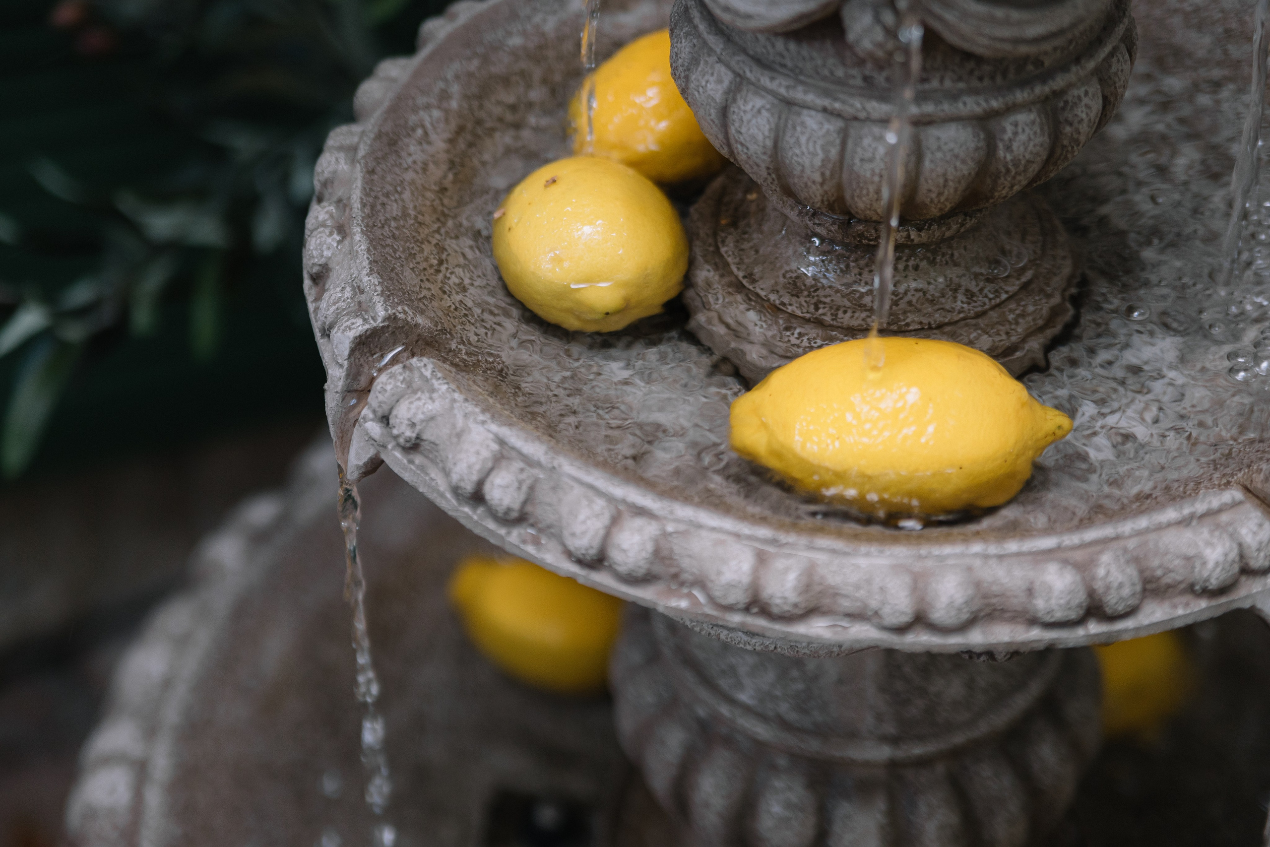 Итальянская встреча. Фотограф в Москве Татьяна Драгунова