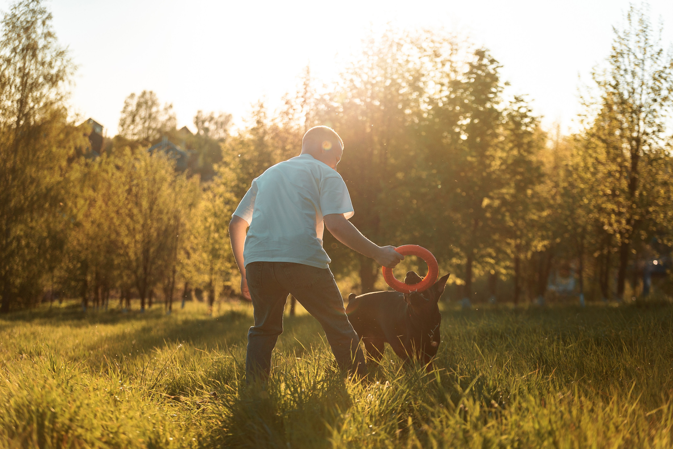 Юля, Андрей и Арес. Фотограф-анималист Анастасия Парфенова|Екатеринбург
